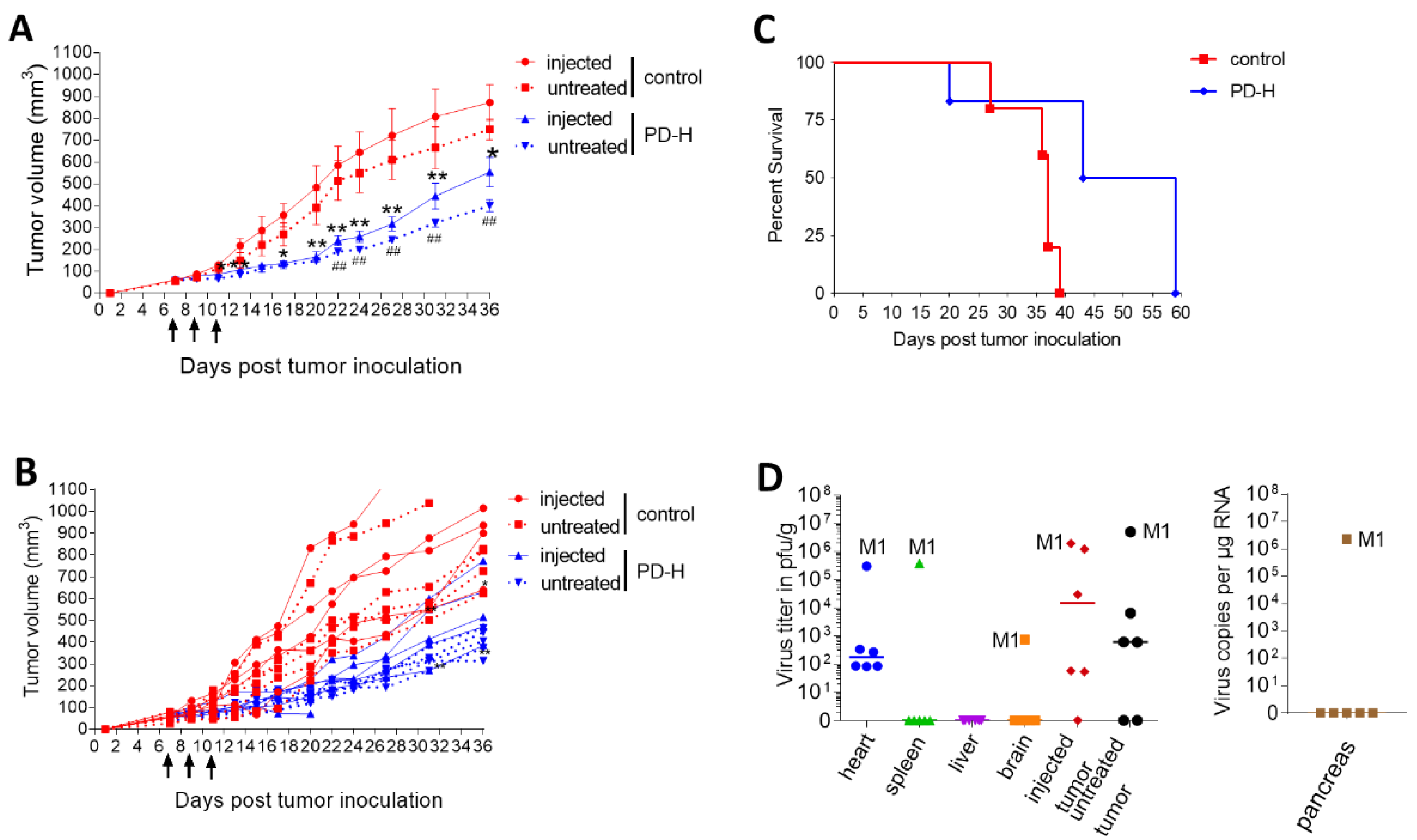 Viruses 13 01918 g003