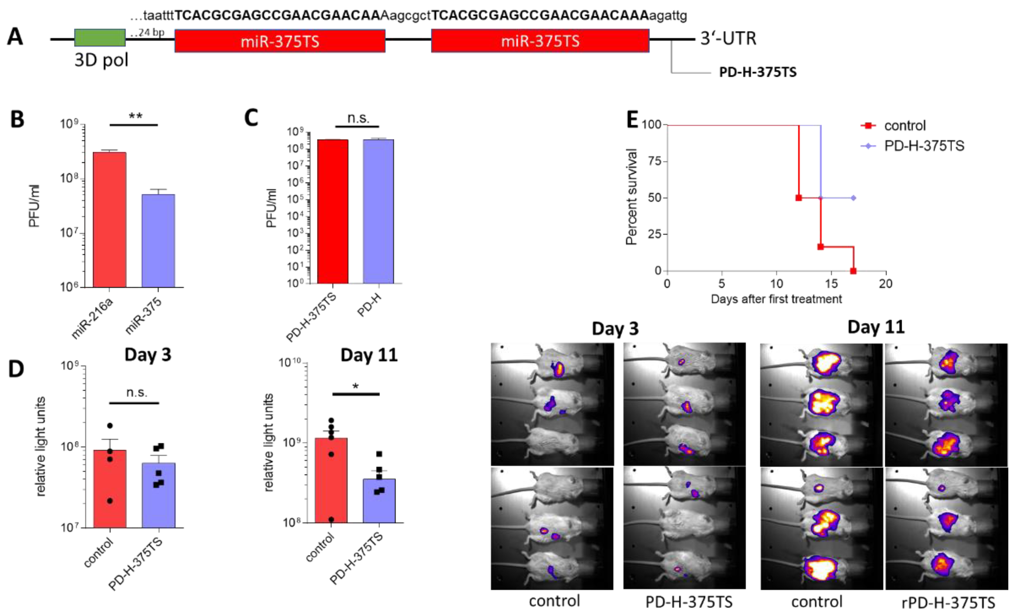 Viruses 13 01918 g005