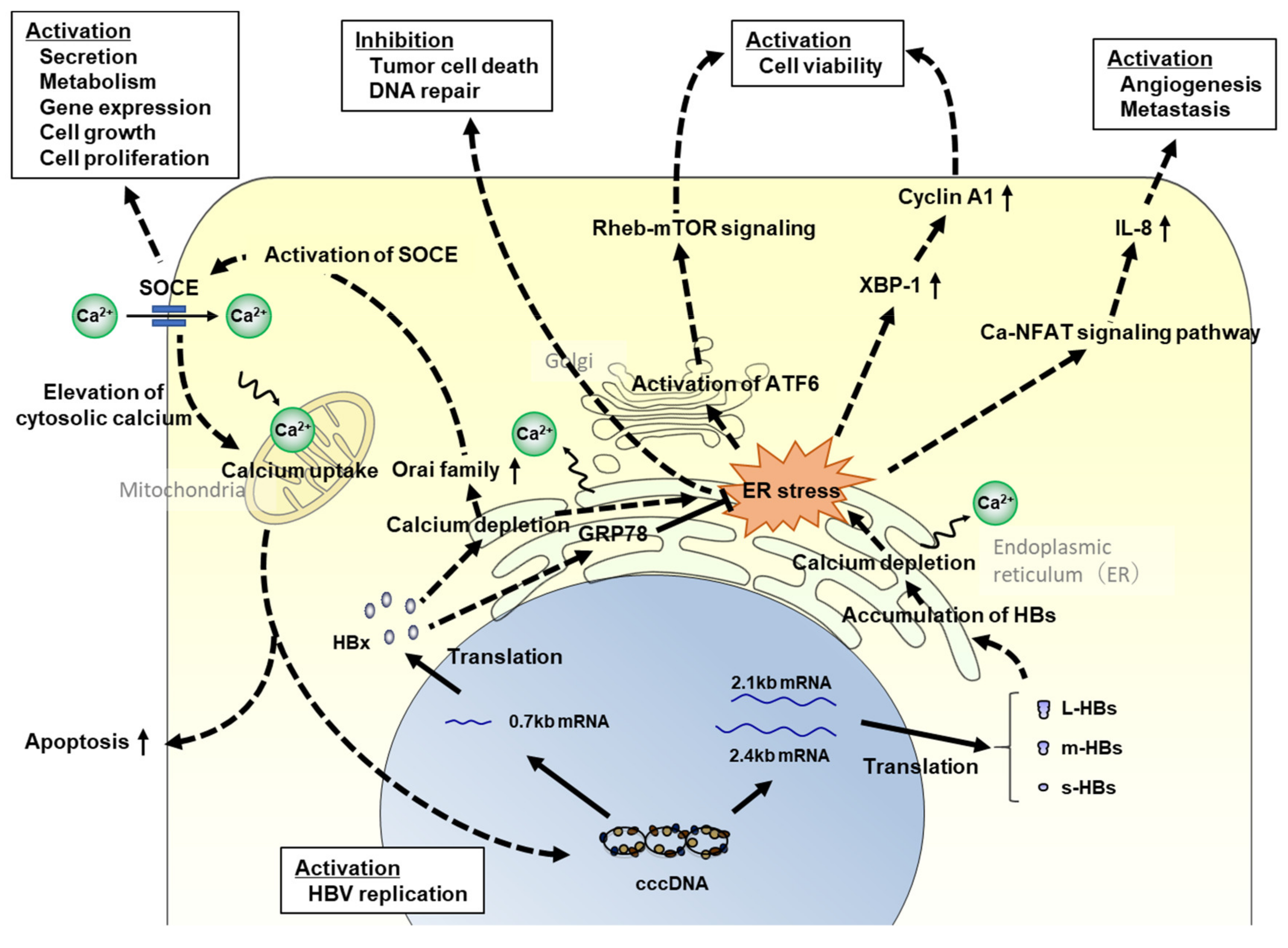 Viruses 13 01920 g001 Viruses 13 01920 g001