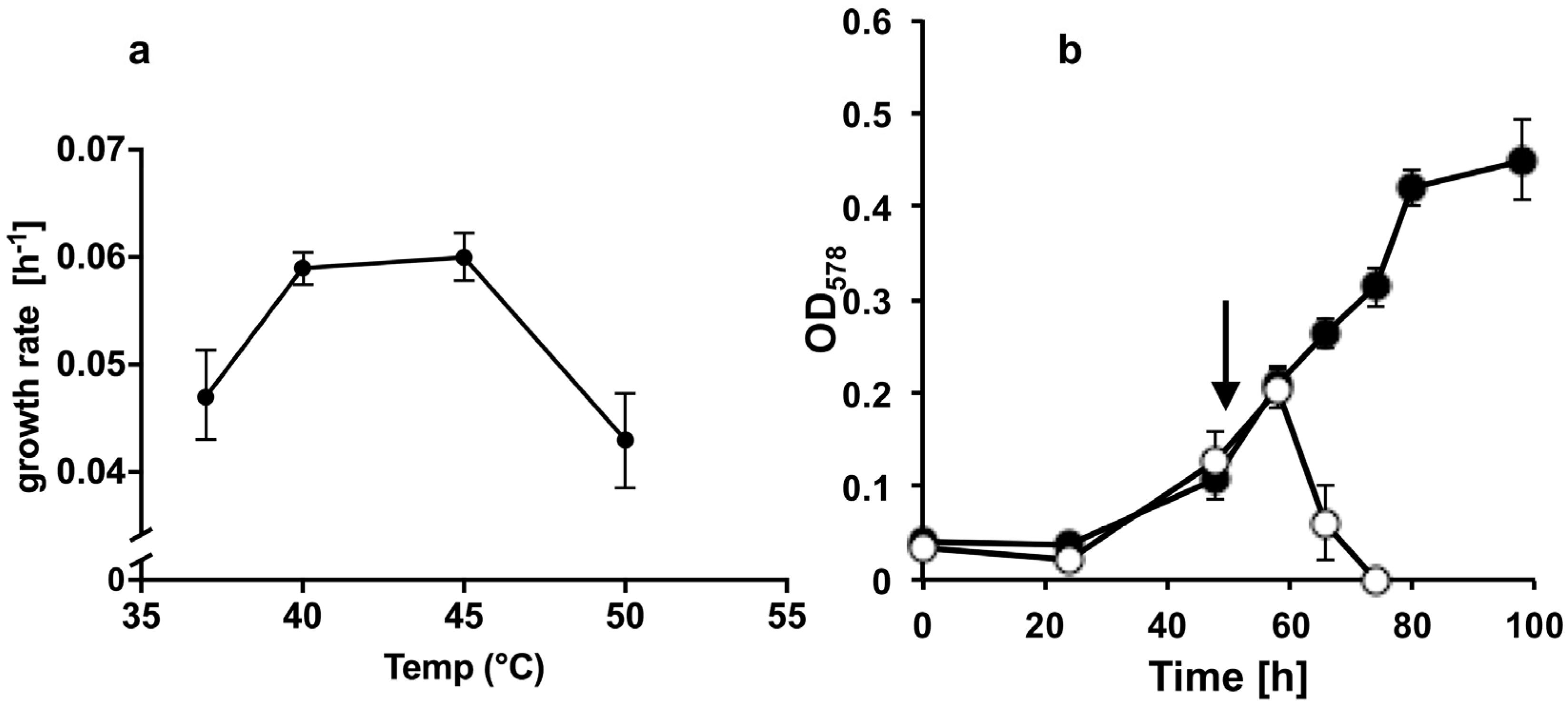 Viruses 13 01934 g002