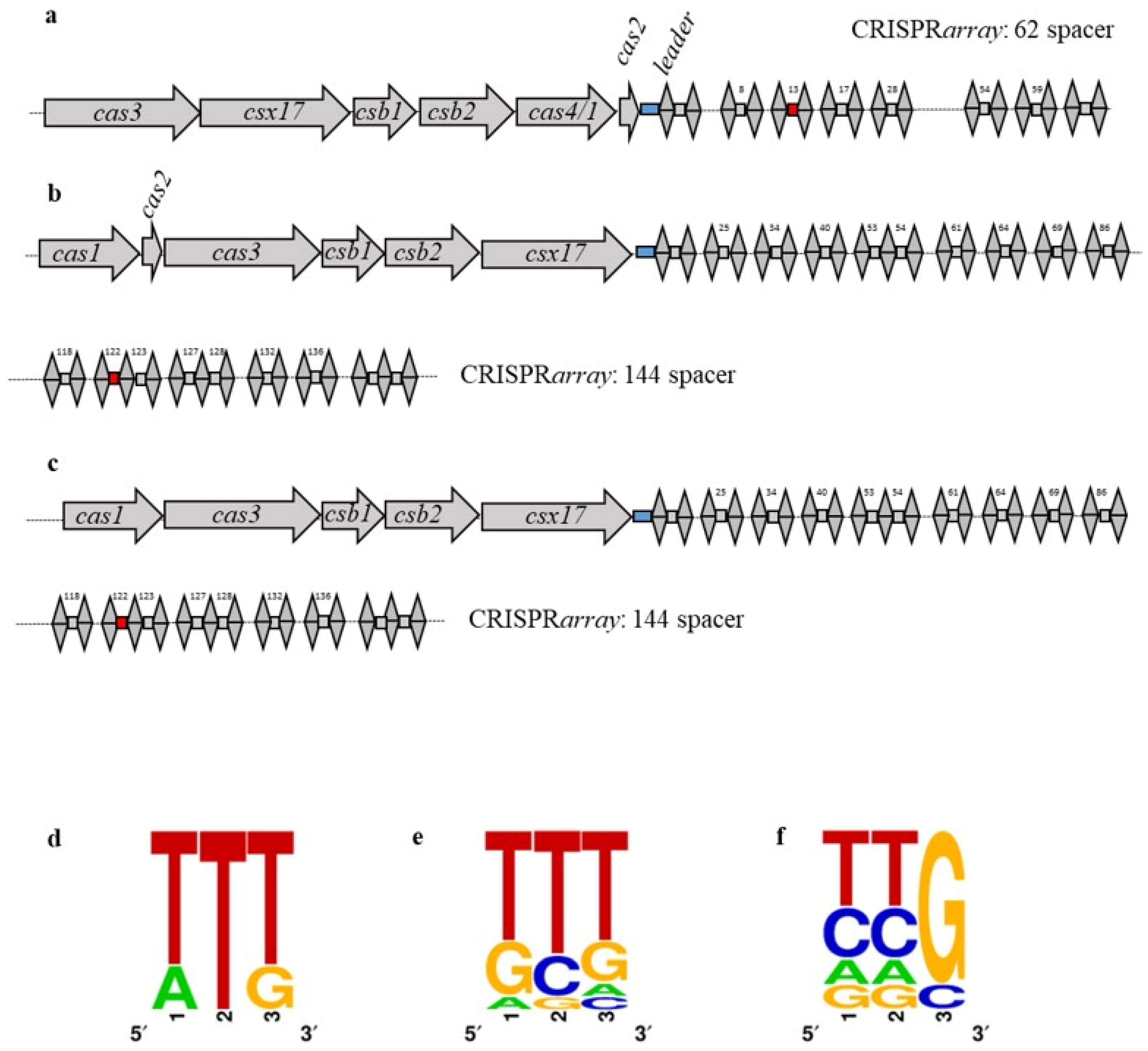 Viruses 13 01934 g003