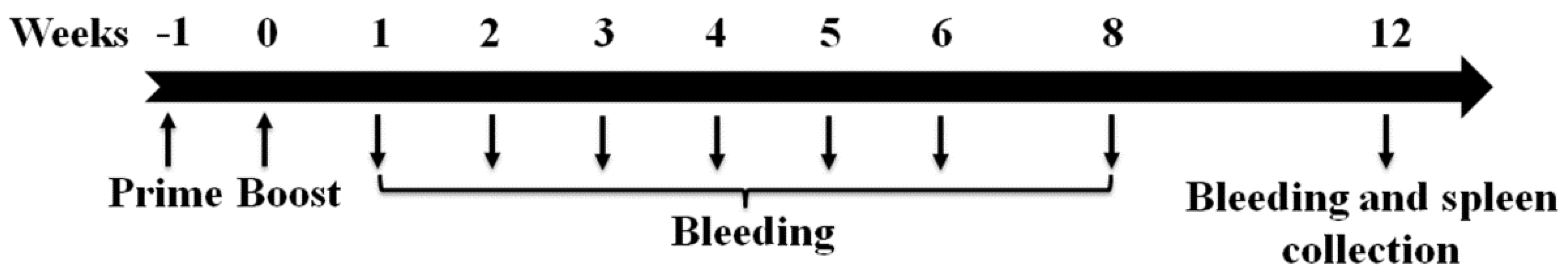 Viruses 13 01936 g001