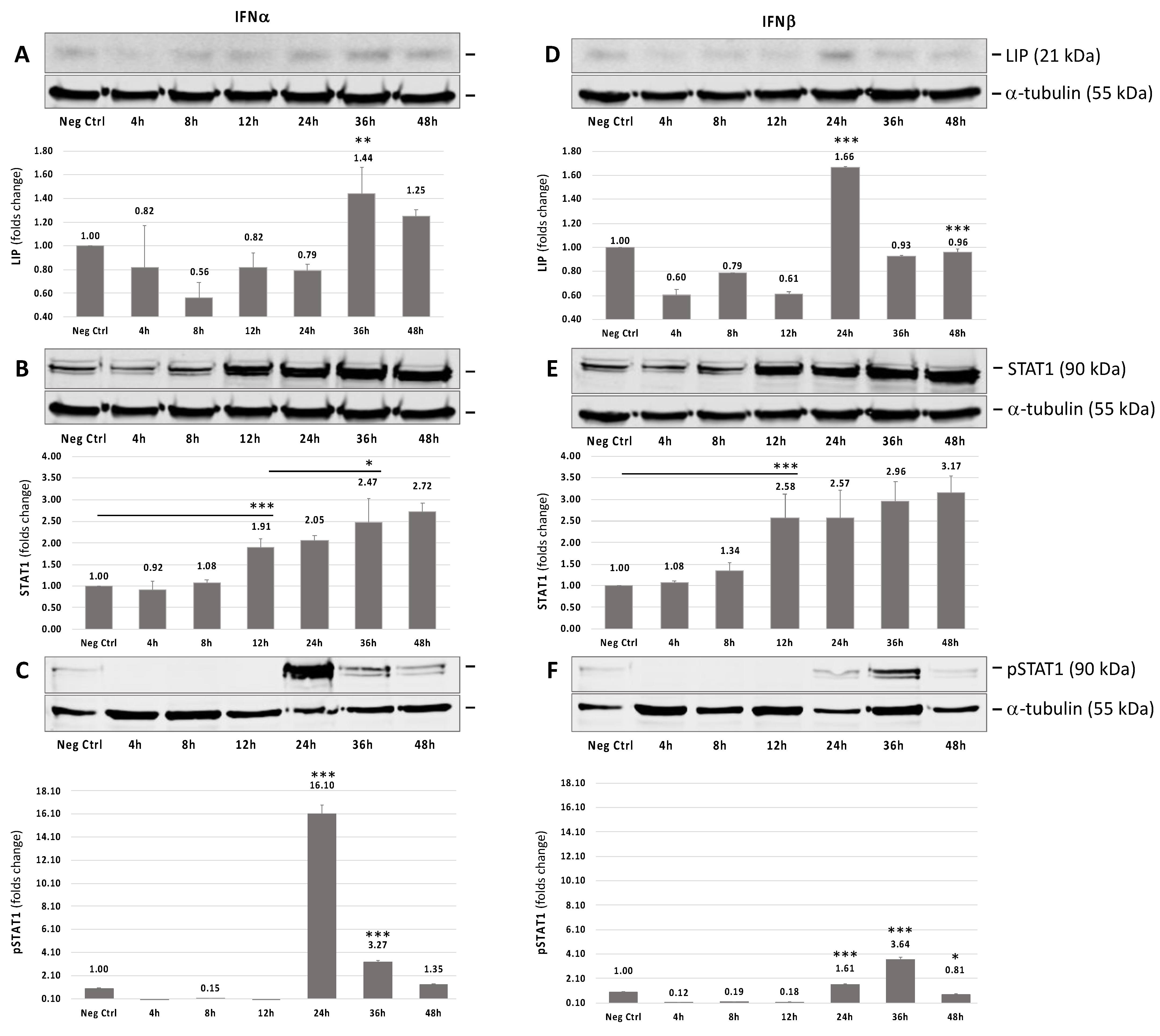 Viruses 13 01937 g001