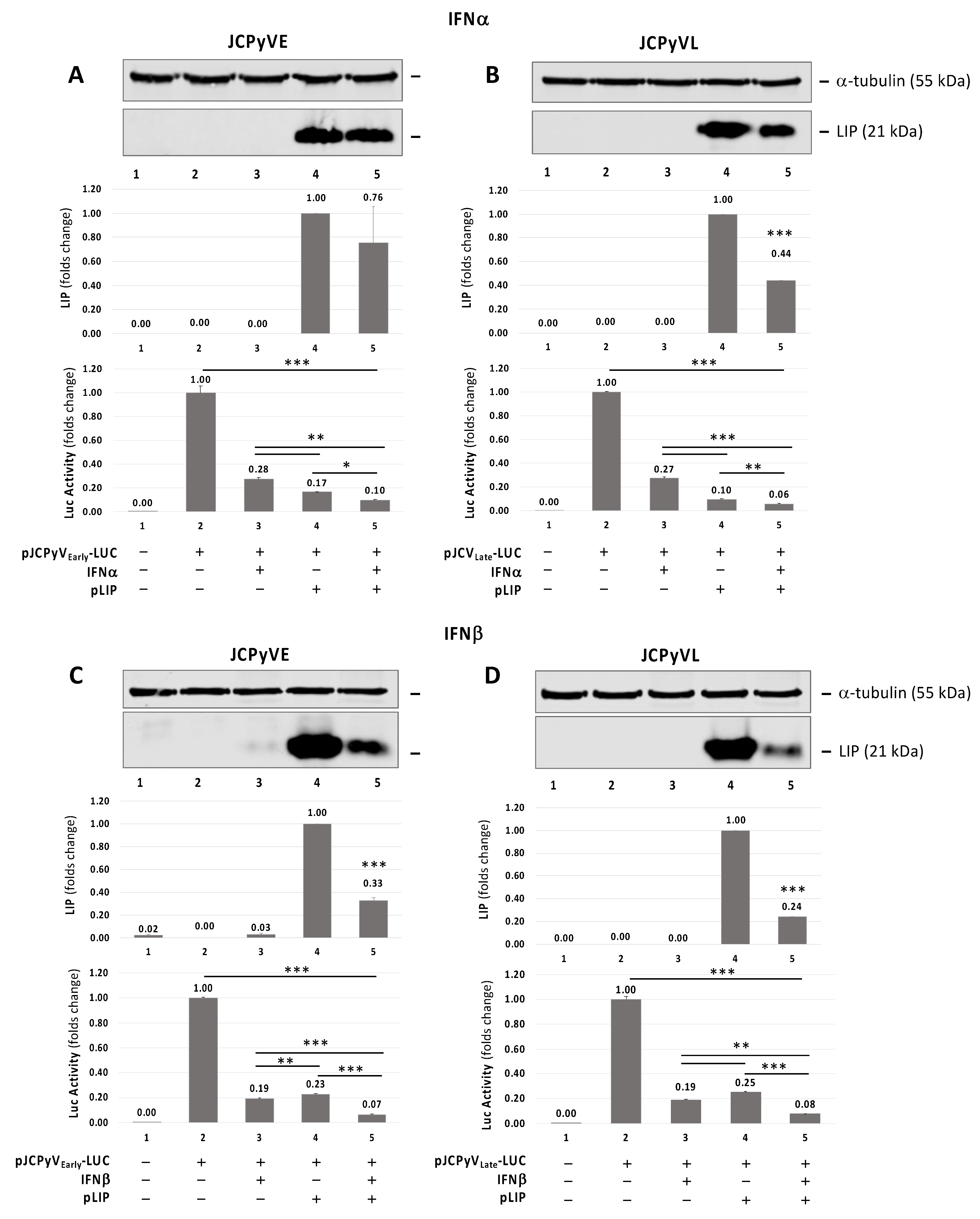 Viruses 13 01937 g003