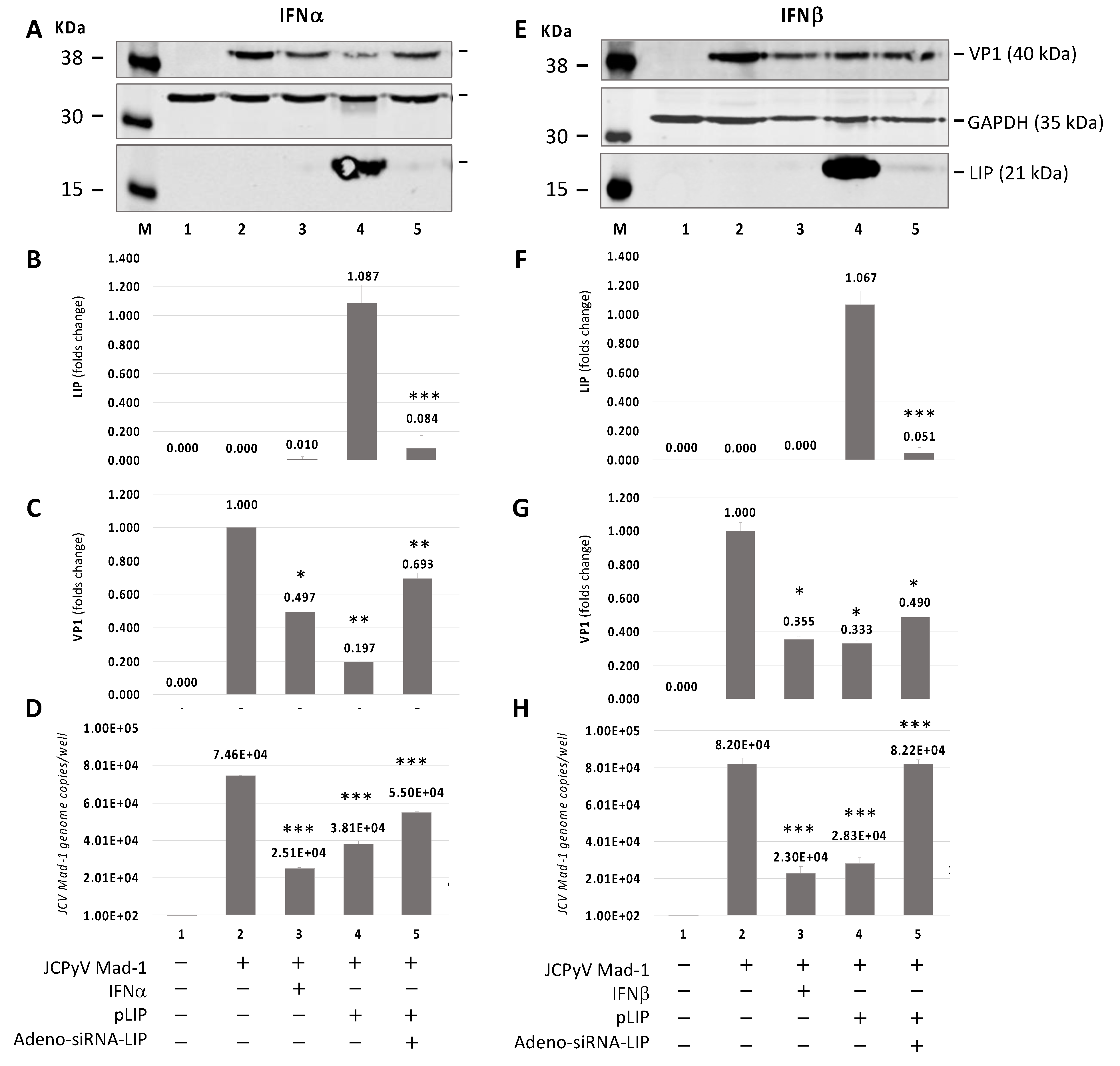 Viruses 13 01937 g004