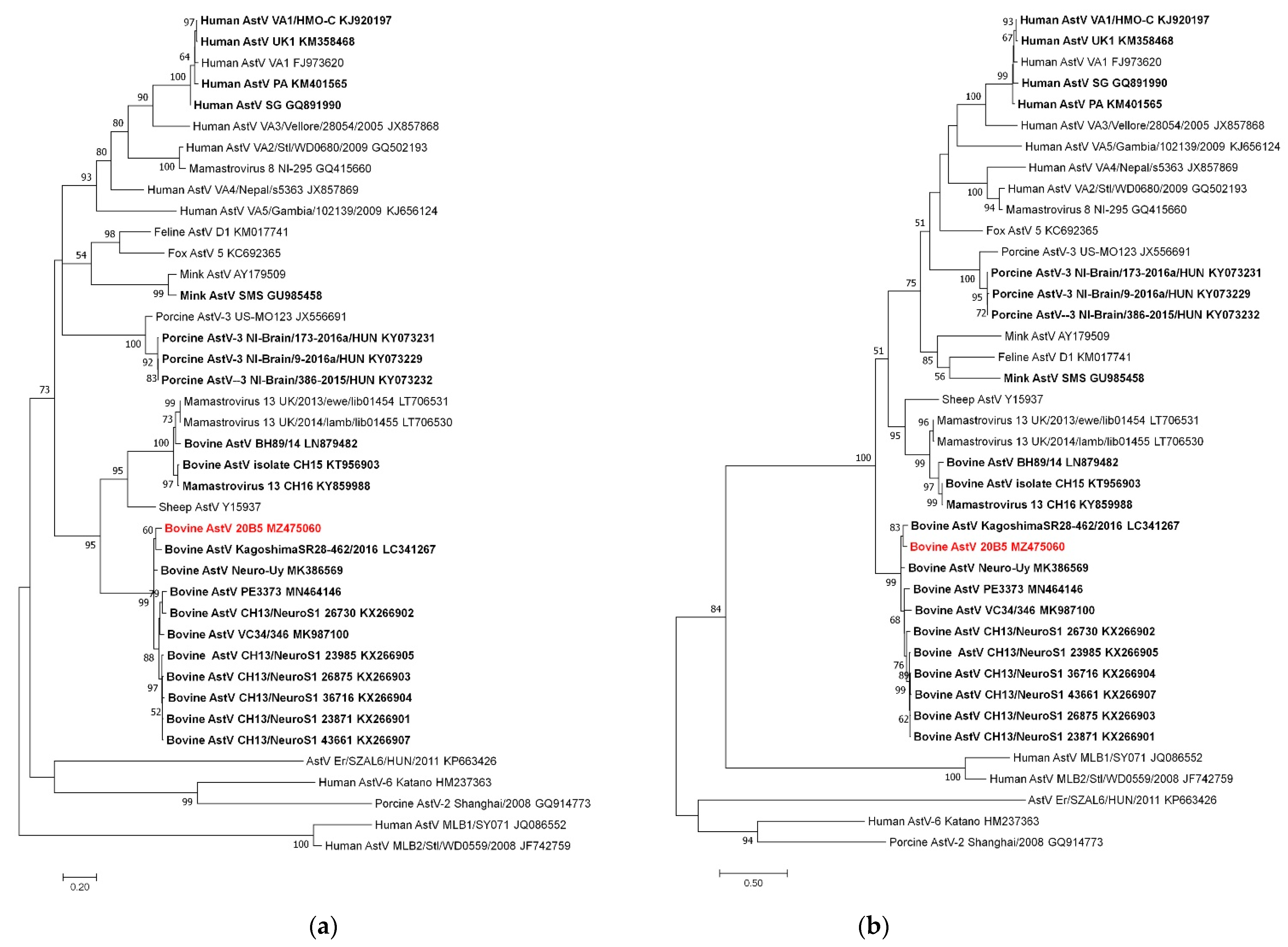 Viruses 13 01941 g002