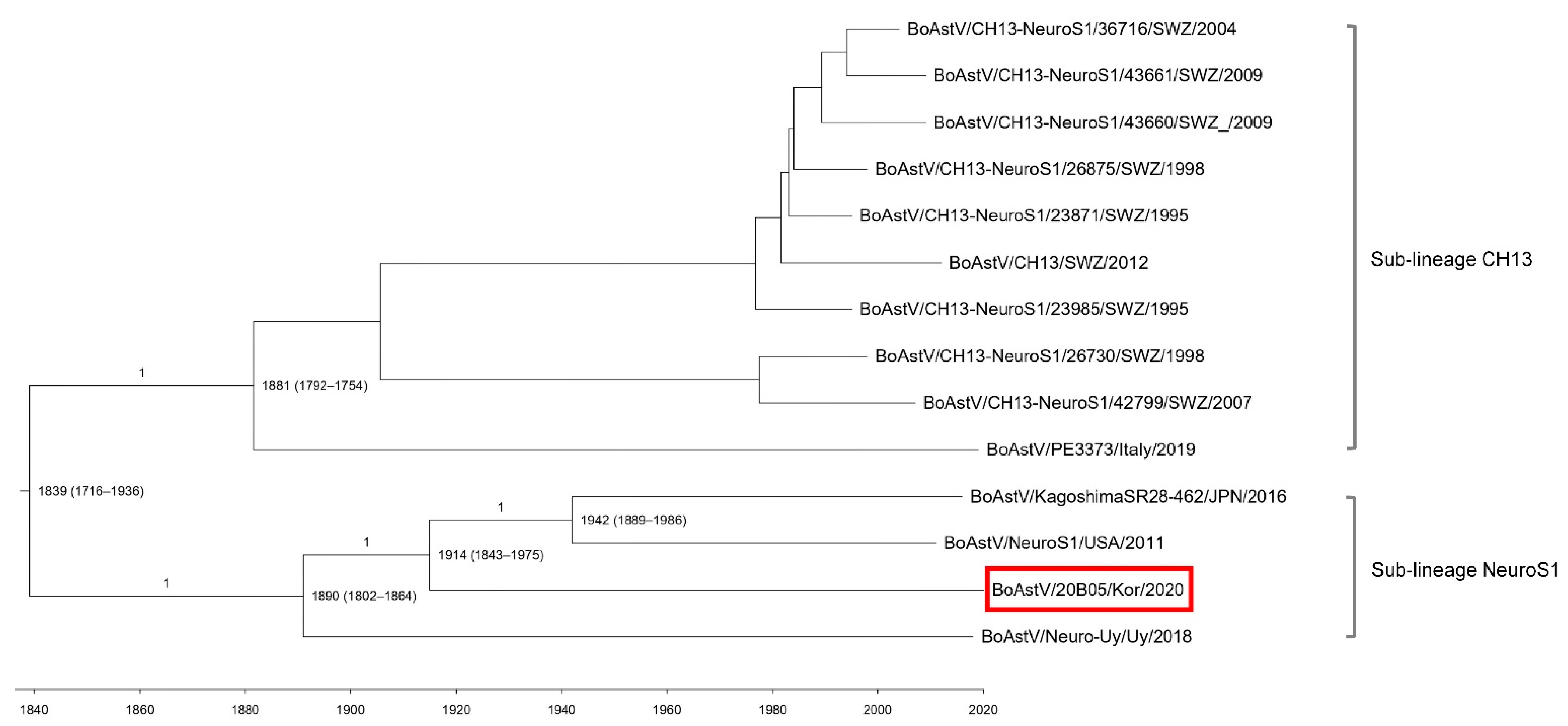 Viruses 13 01941 g003