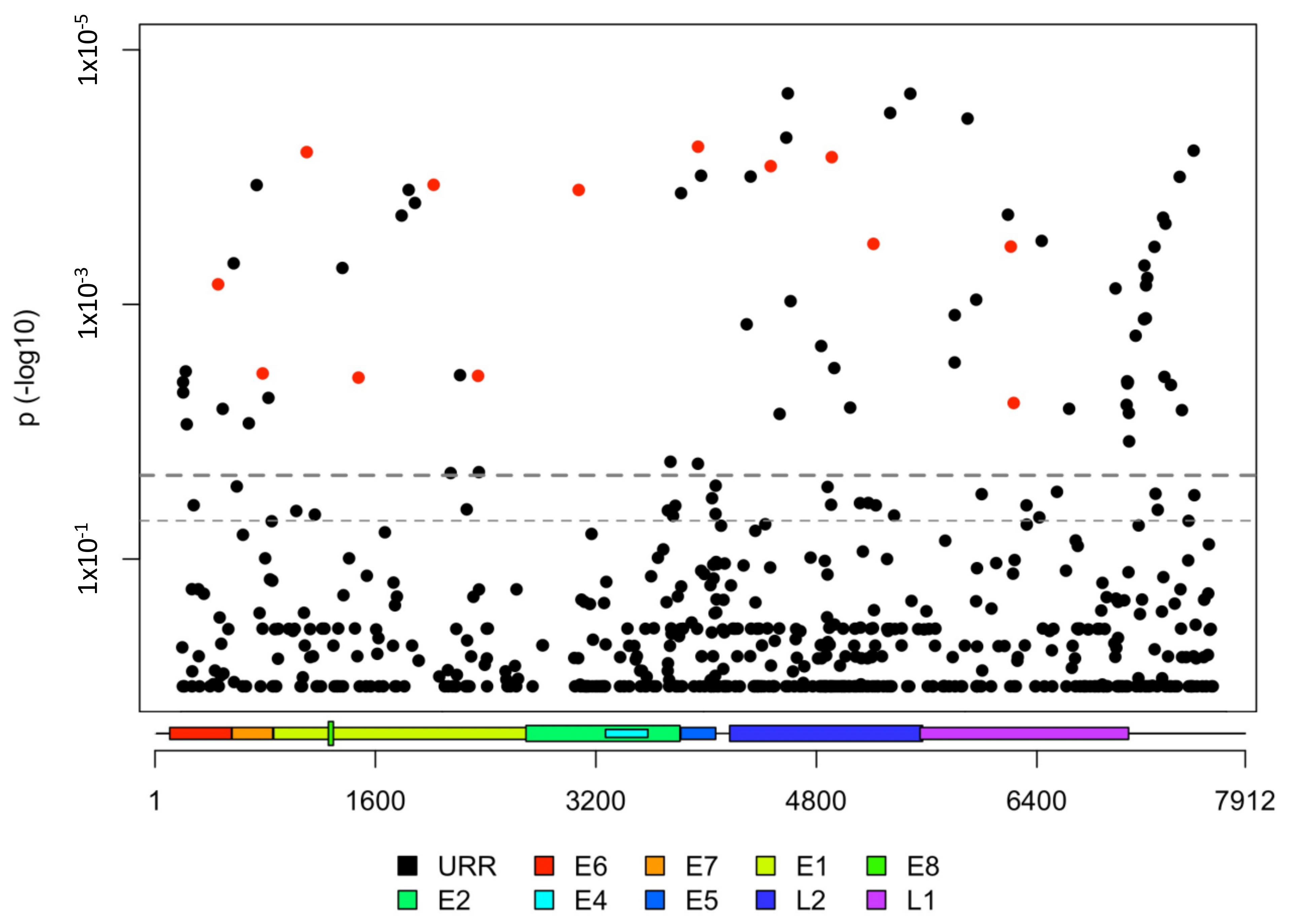Viruses 13 01948 g002 Viruses 13 01948 g002