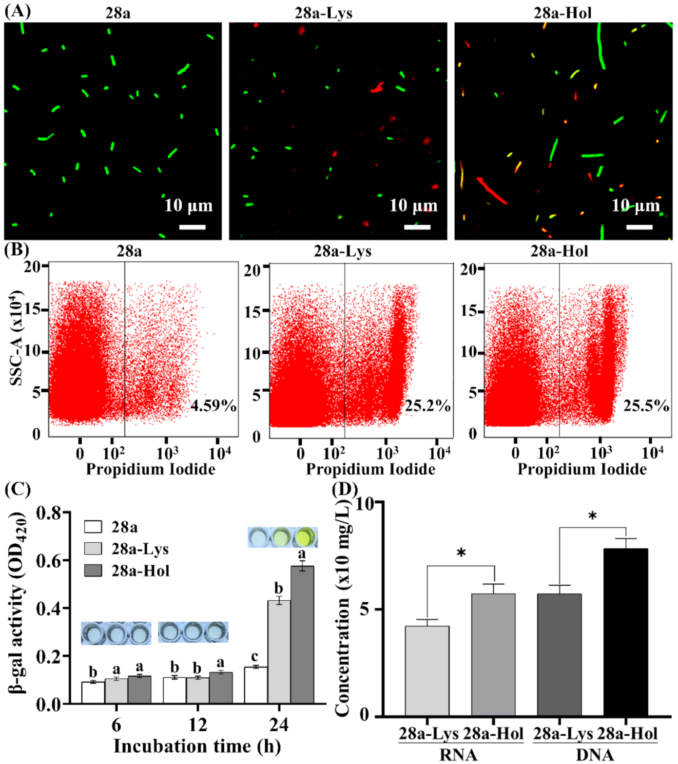 Viruses 13 01949 g007