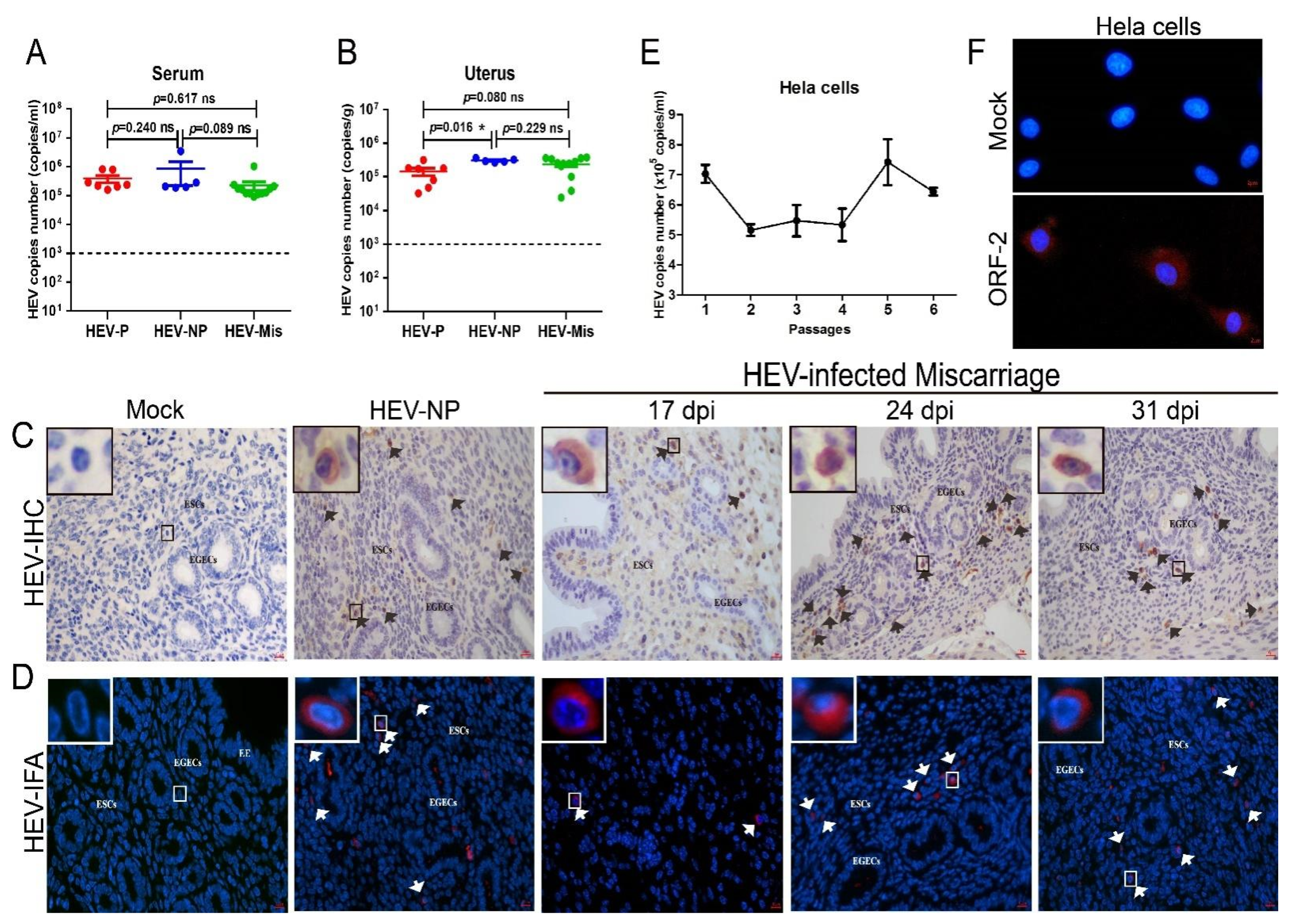 Viruses 13 01950 g002