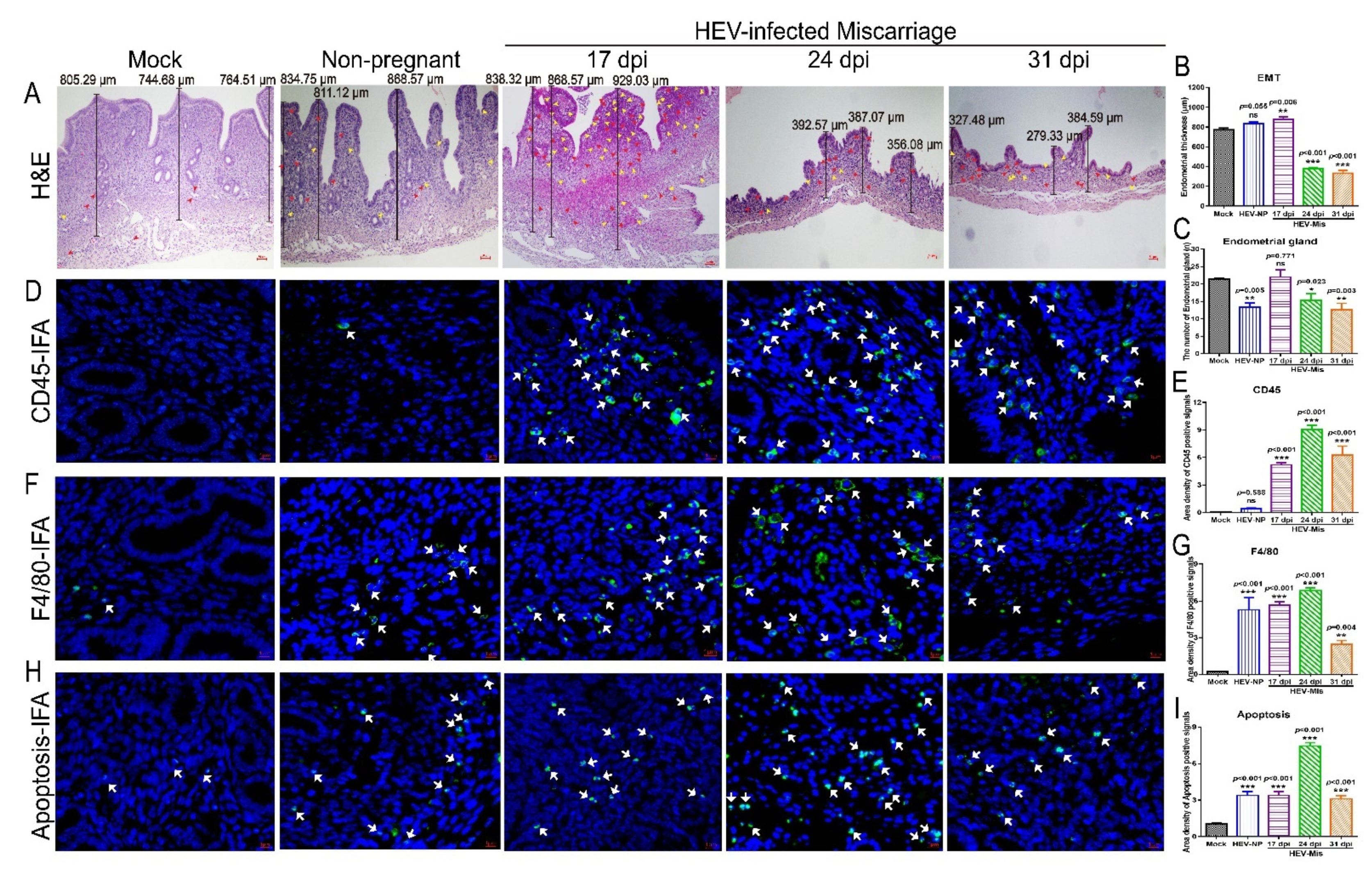 Viruses 13 01950 g004