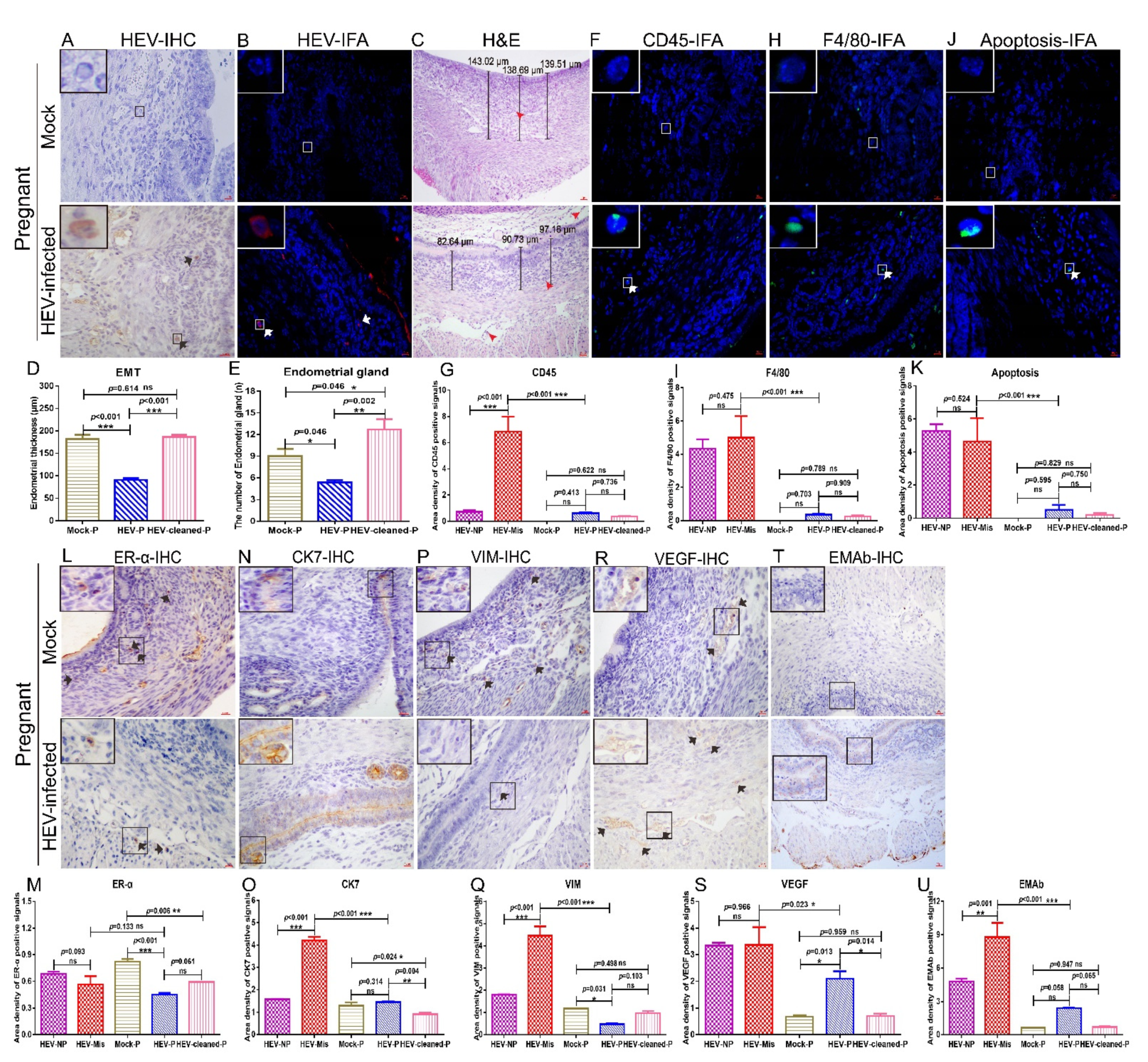 Viruses 13 01950 g006