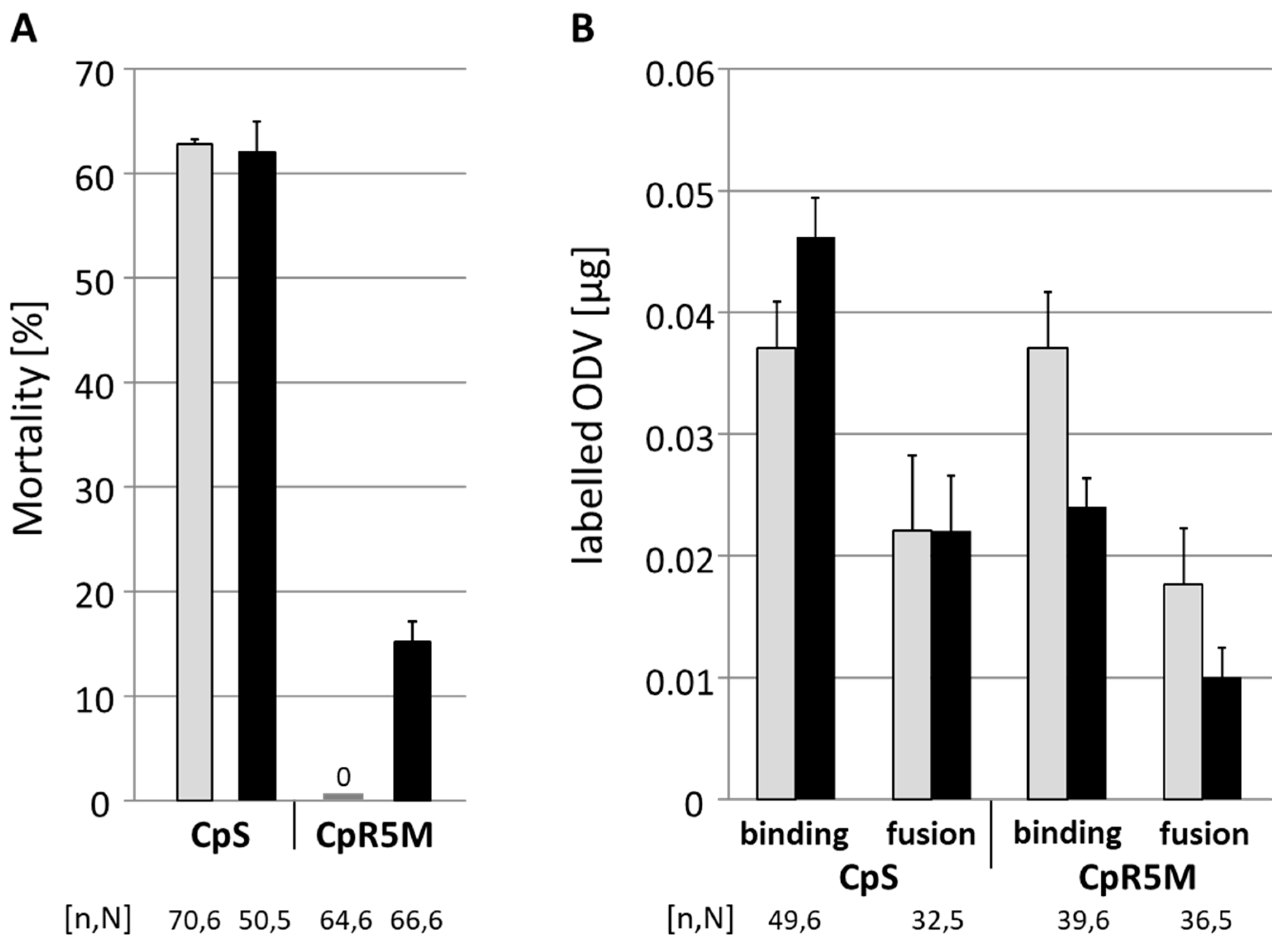 Viruses 13 01952 g003 Viruses 13 01952 g003