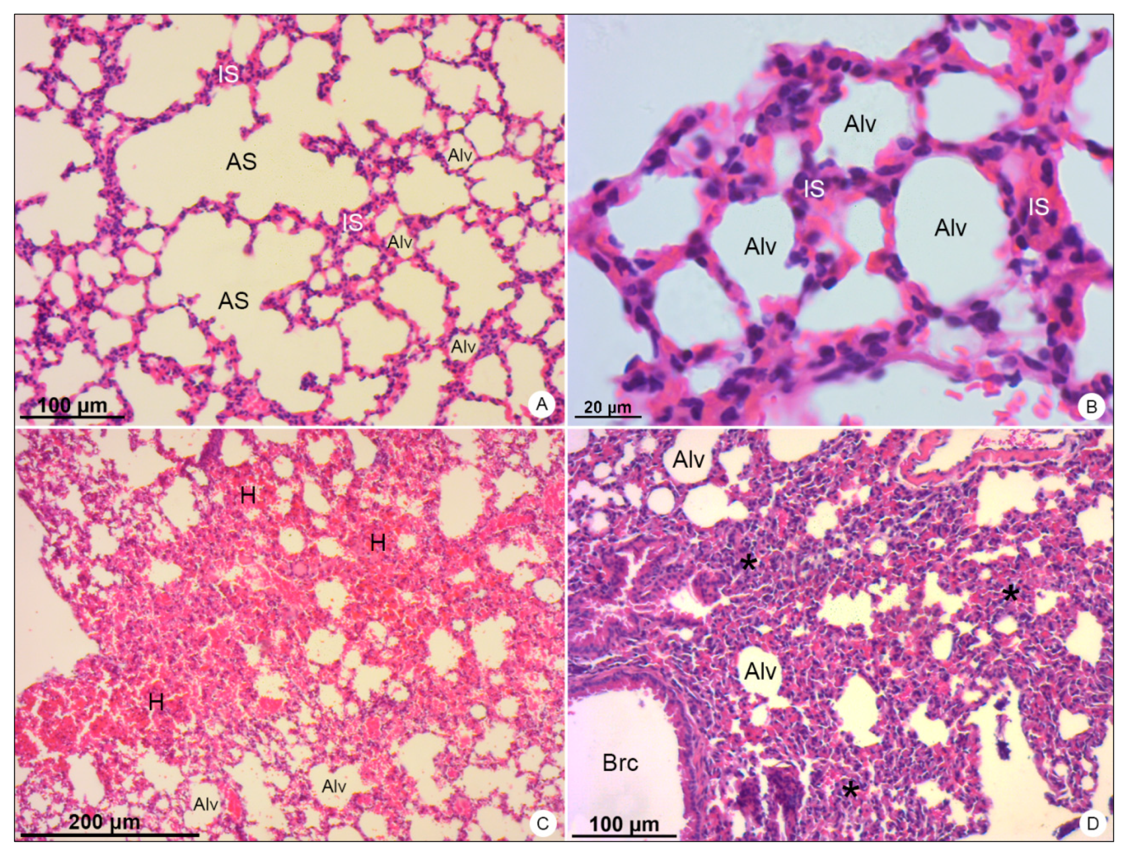 Viruses 13 01954 g004