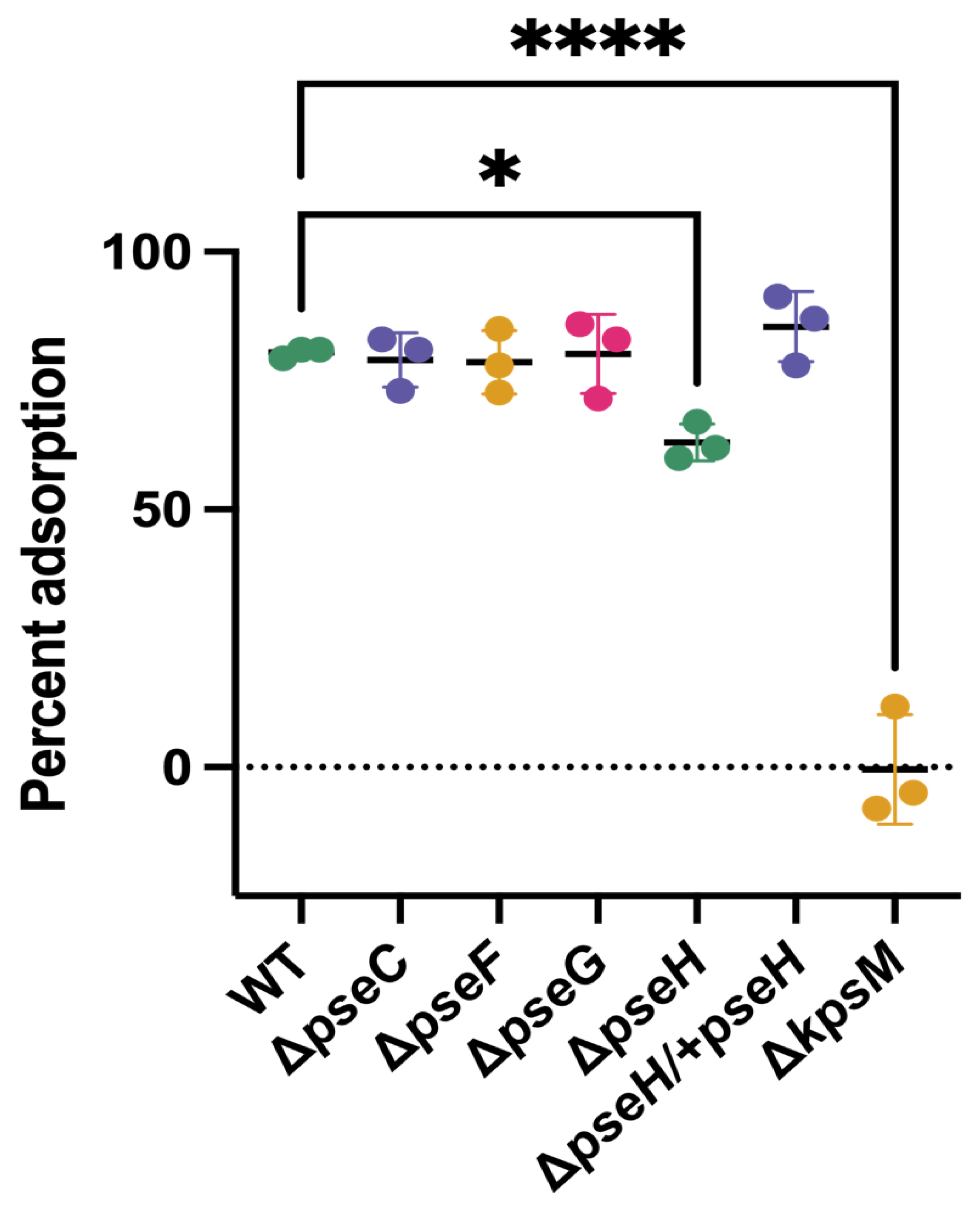 Viruses 13 01955 g002