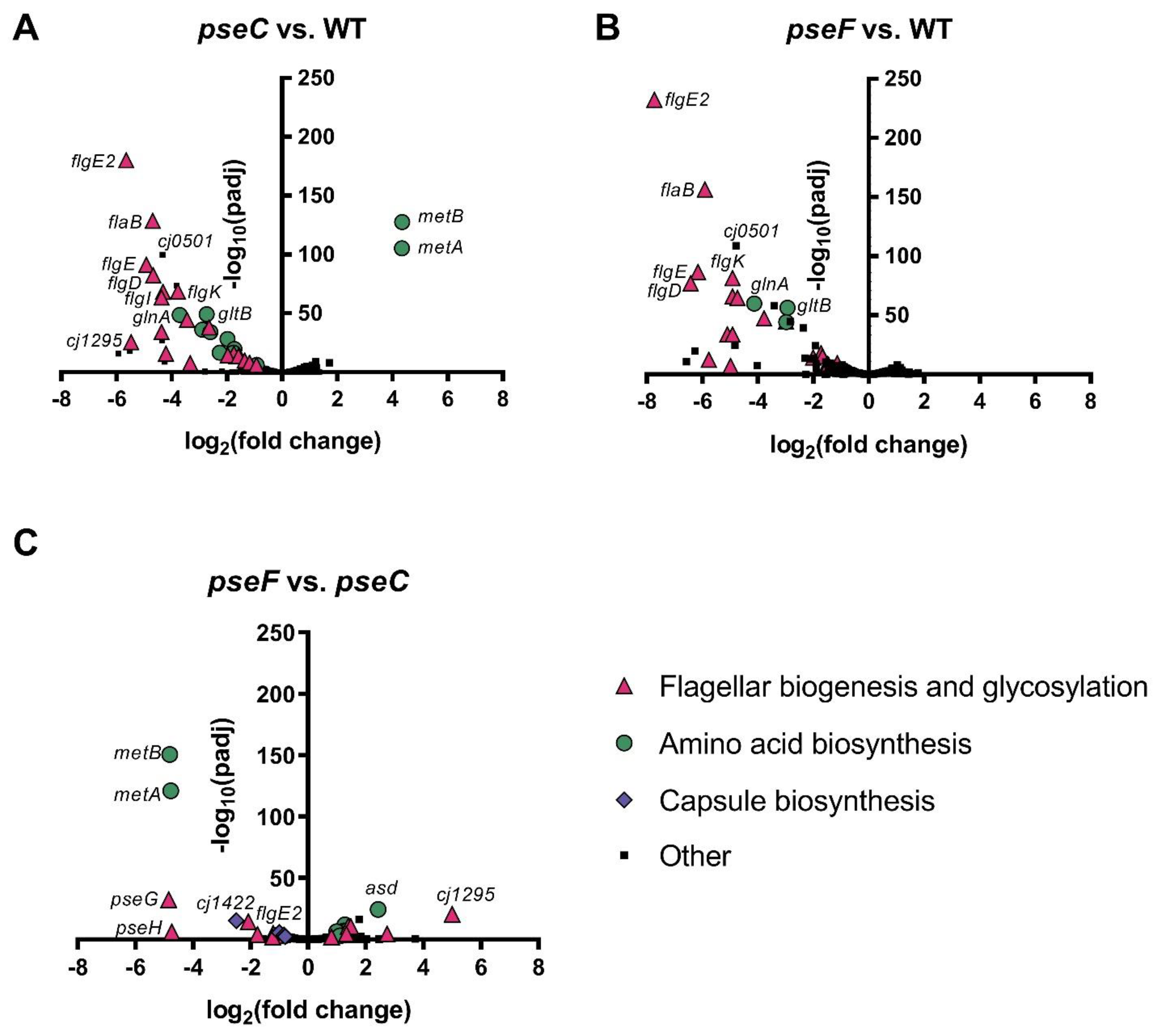 Viruses 13 01955 g003