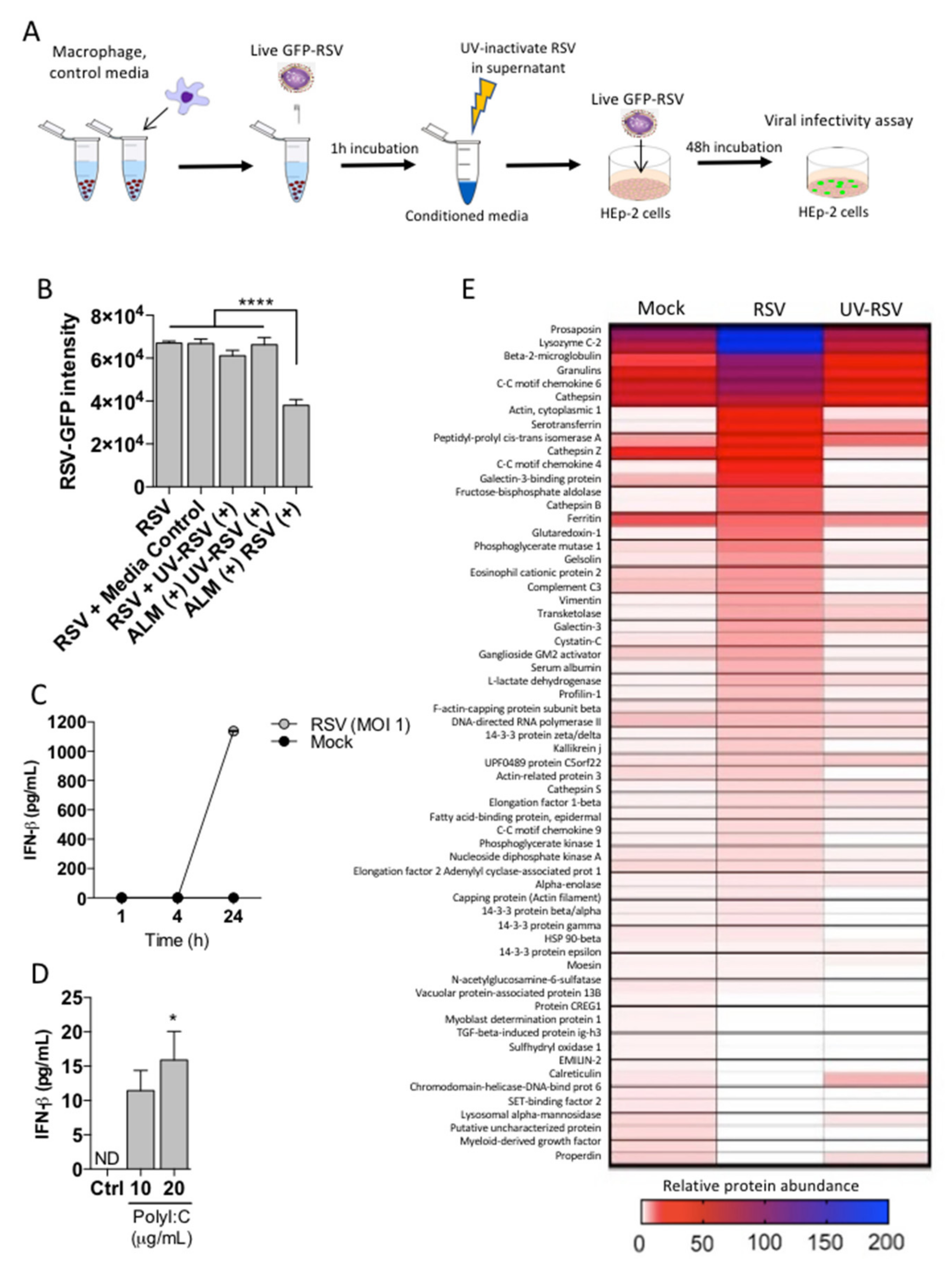Viruses 13 01960 g004