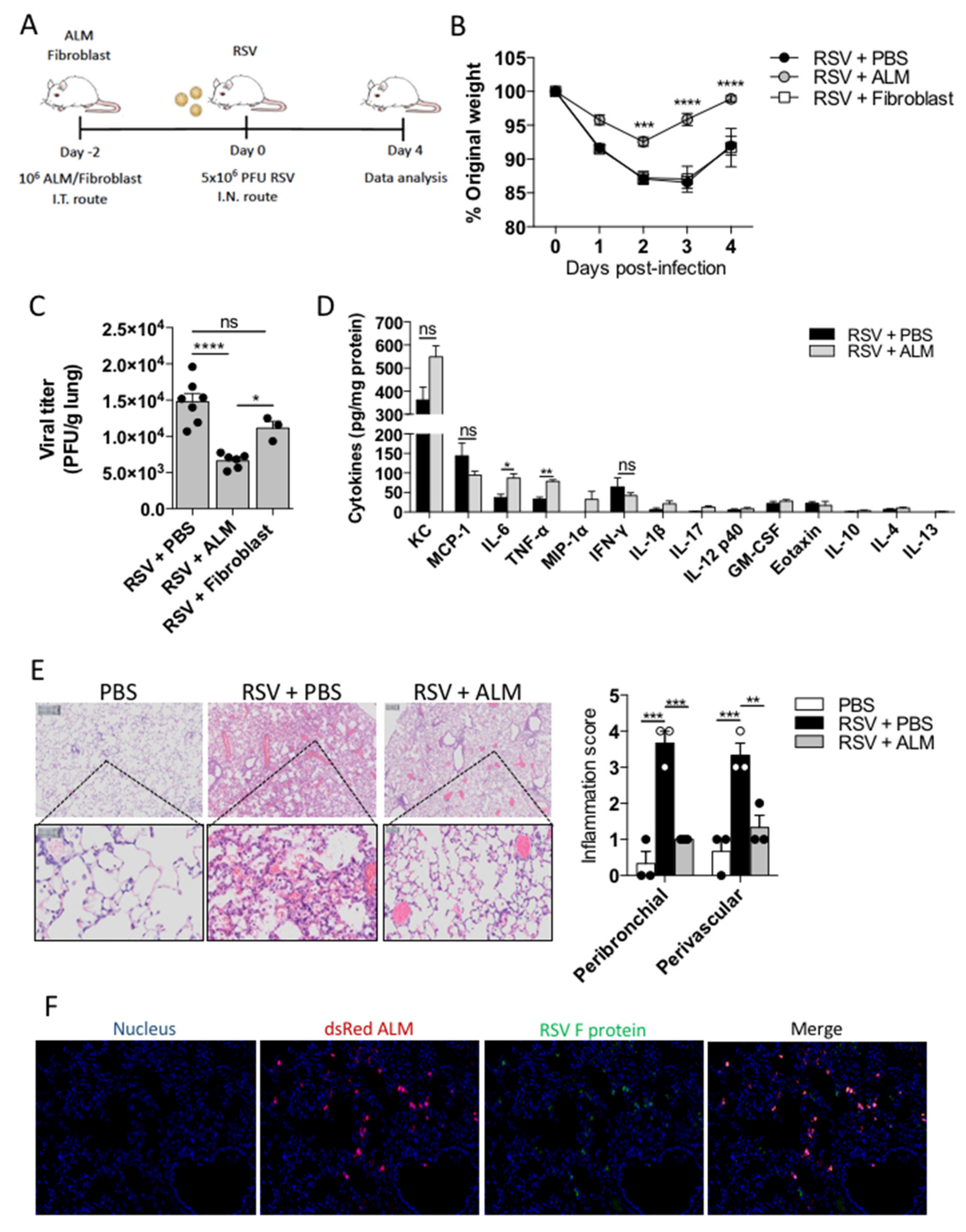 Viruses 13 01960 g005