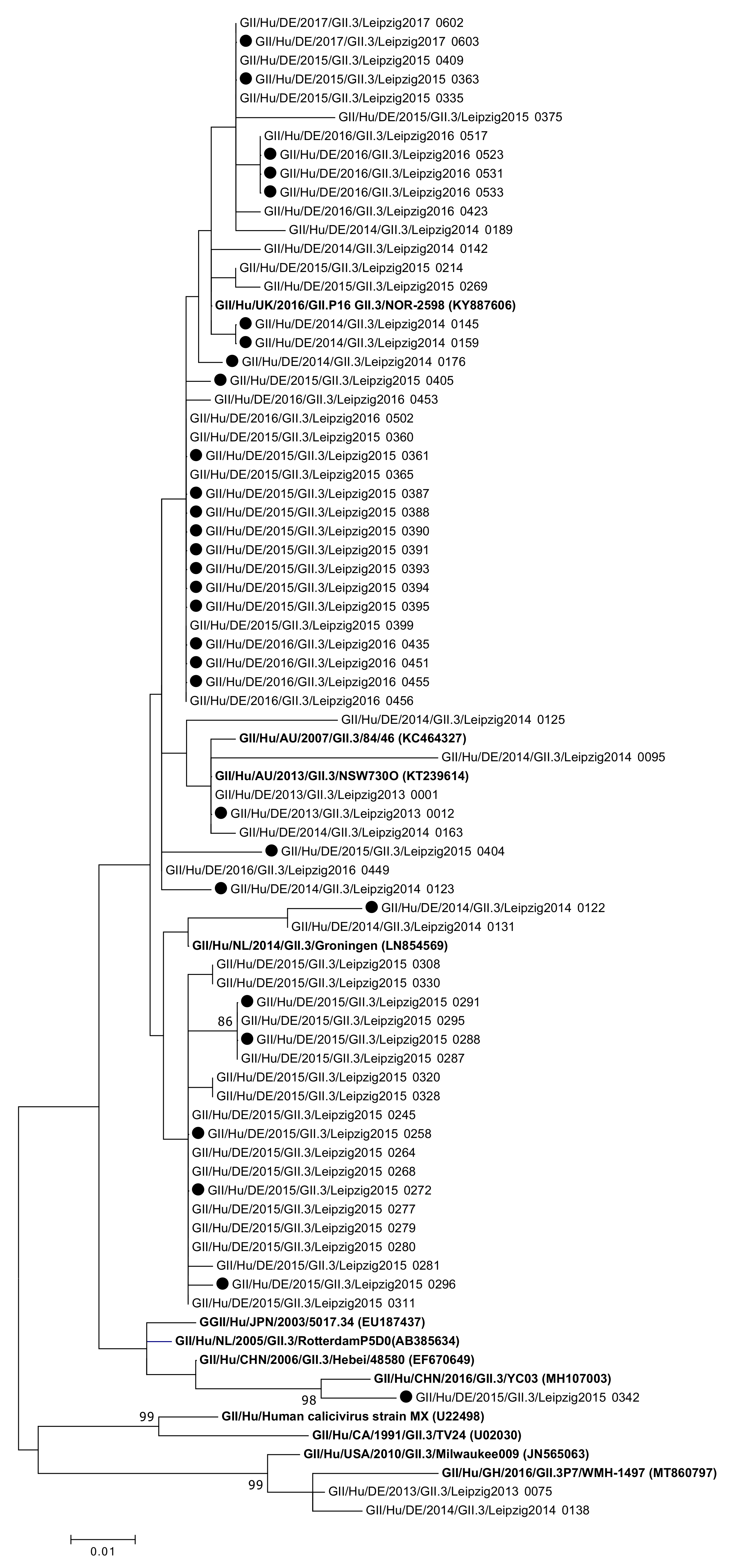 Viruses 13 01961 g004 Viruses 13 01961 g004