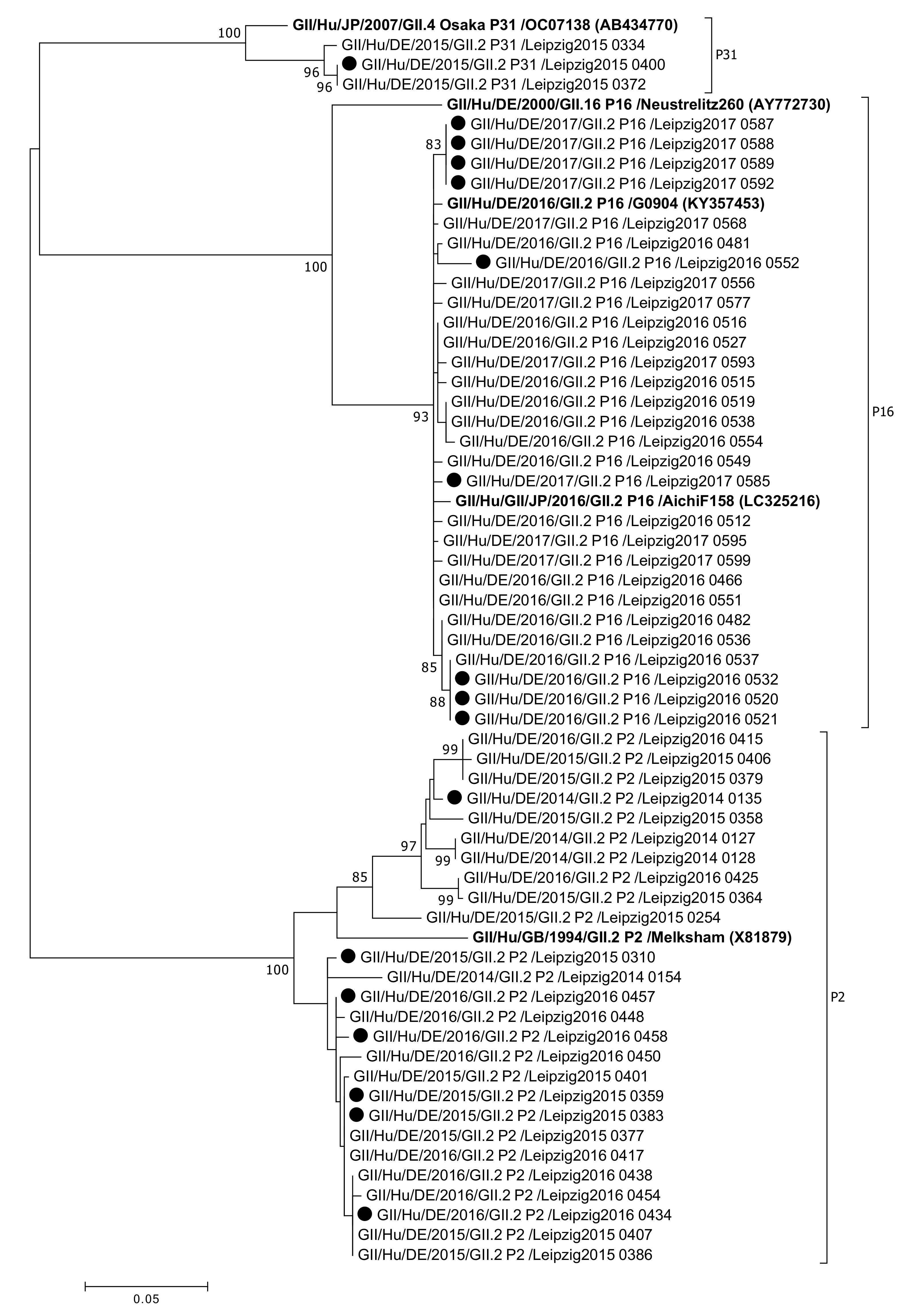Viruses 13 01961 g006 Viruses 13 01961 g006