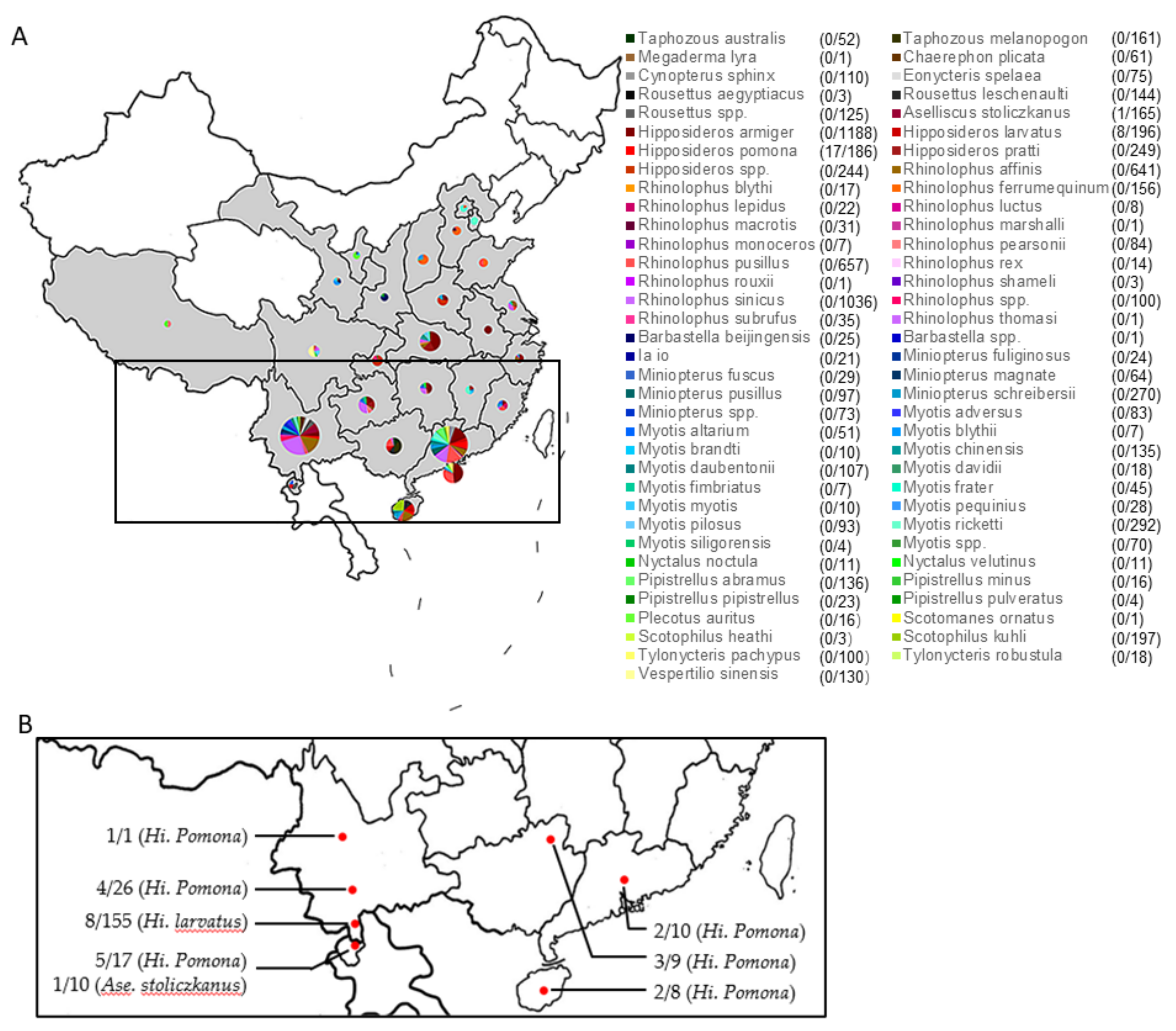 Viruses 13 01962 g001