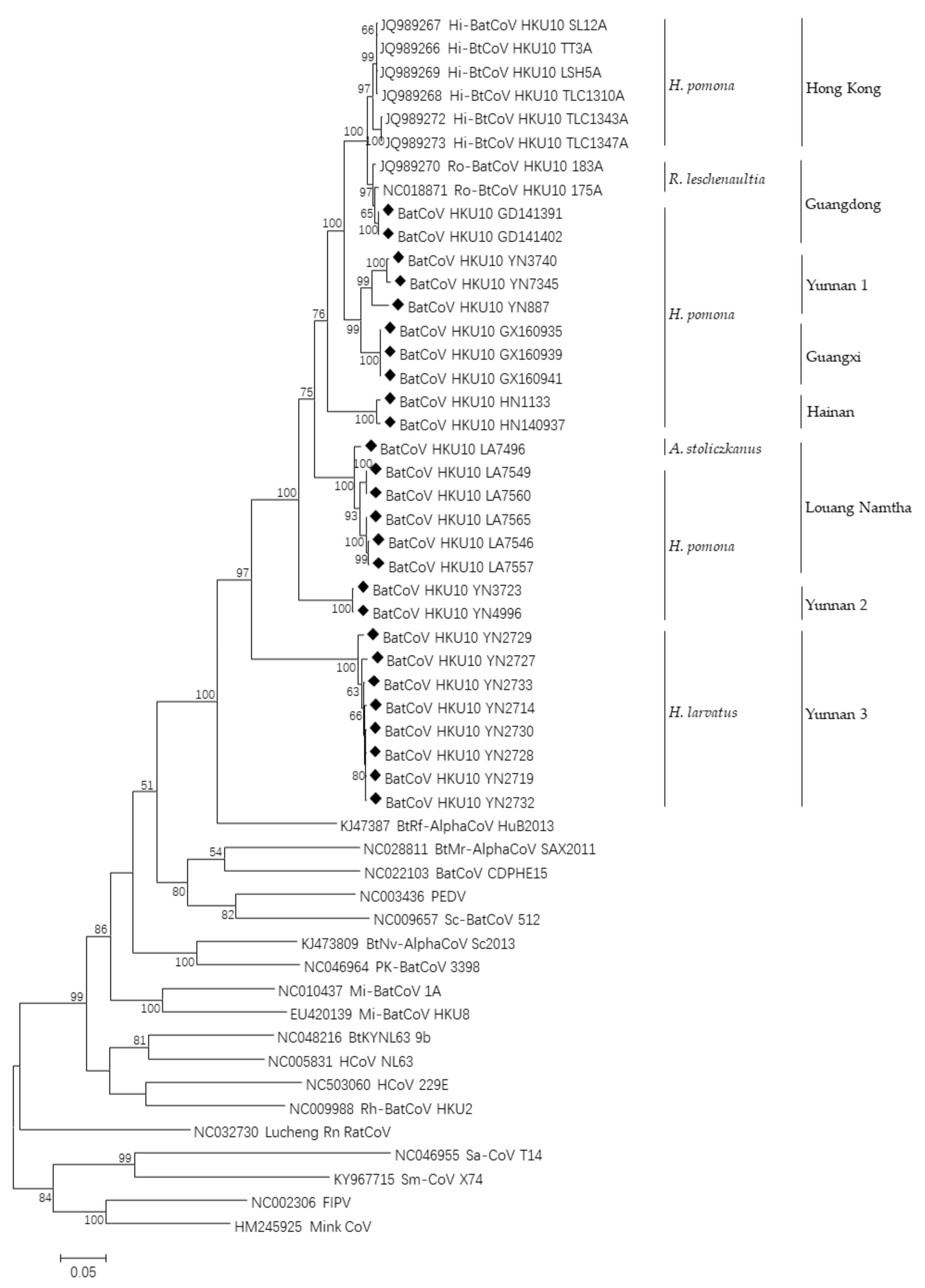 Viruses 13 01962 g002