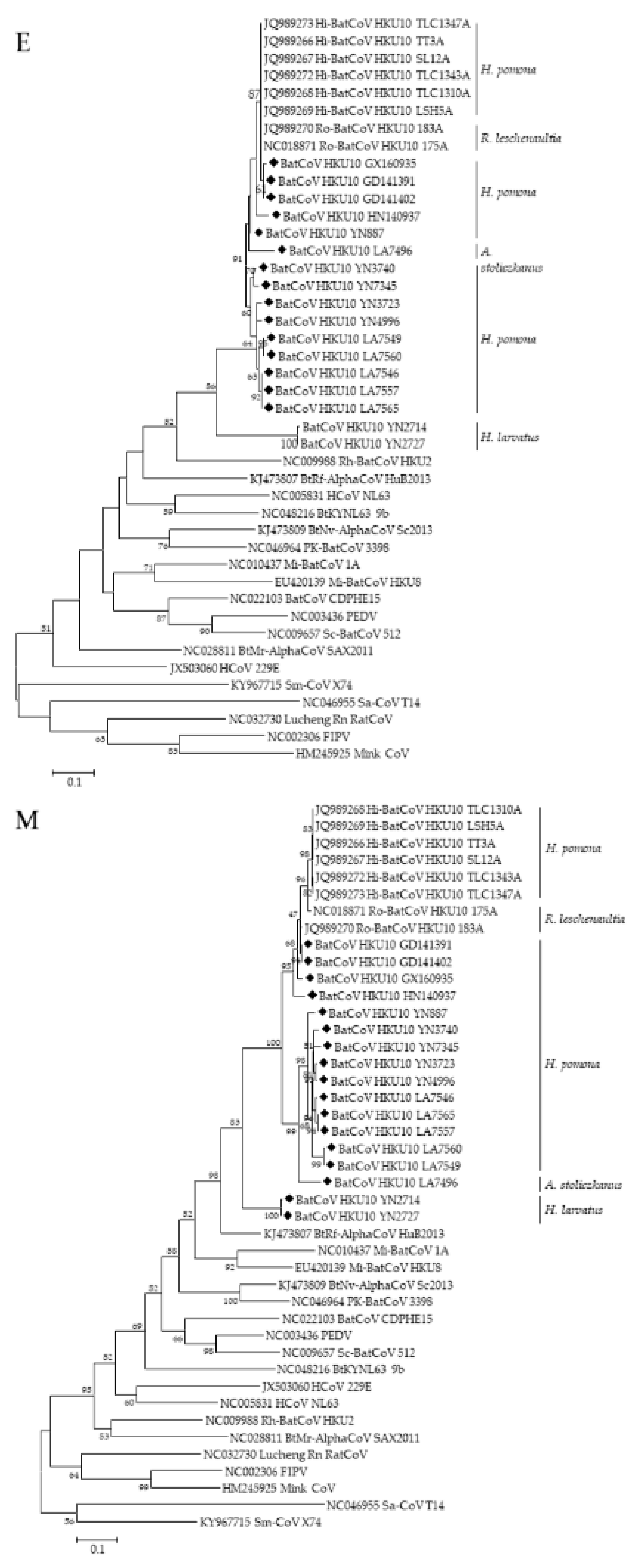 Viruses 13 01962 g004c