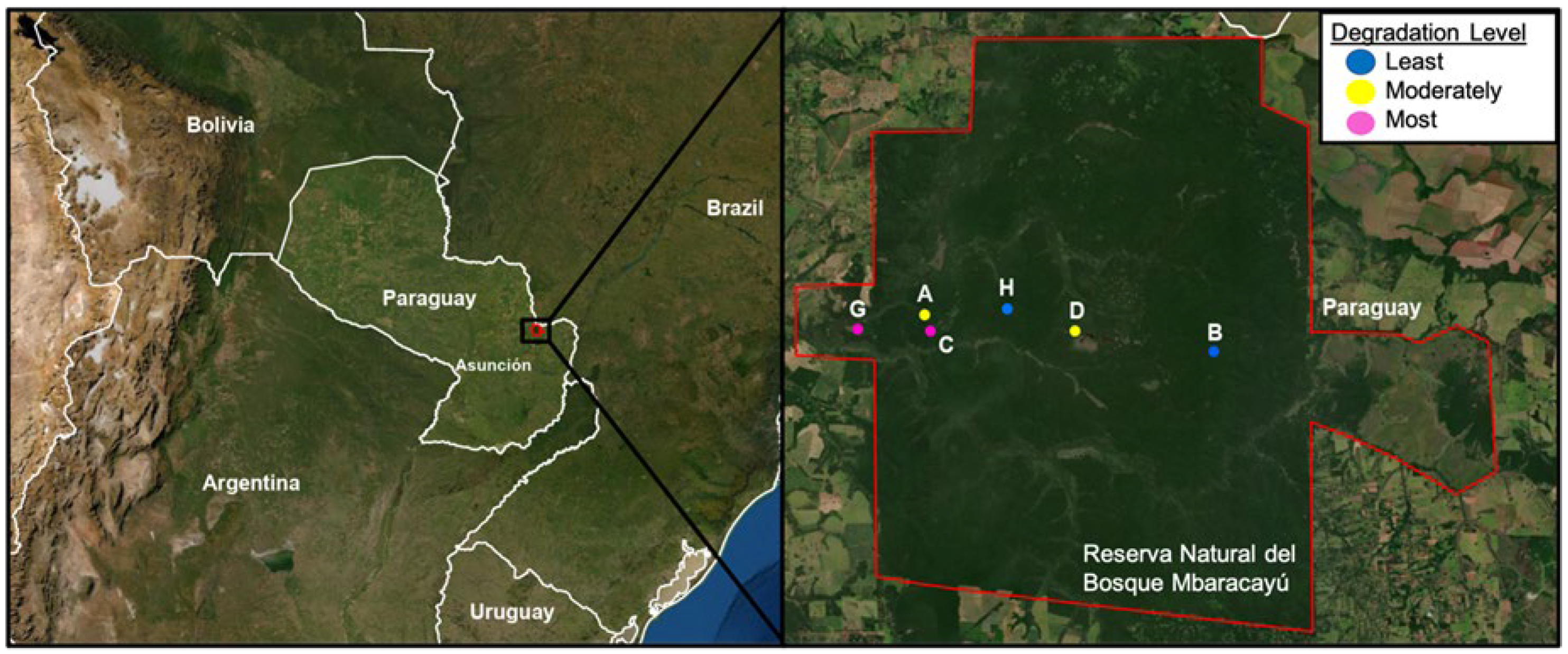 Viruses 13 01963 g001