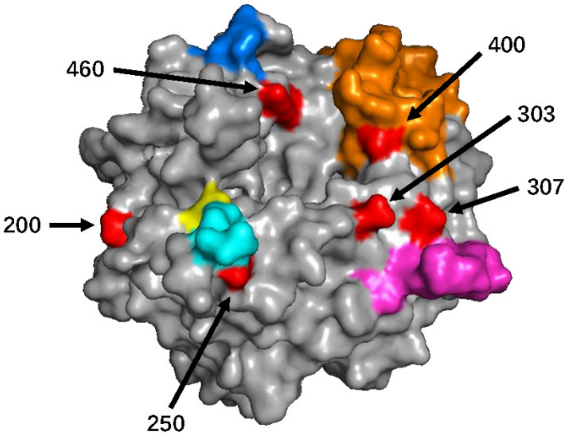 Viruses 13 01970 g002 Viruses 13 01970 g002
