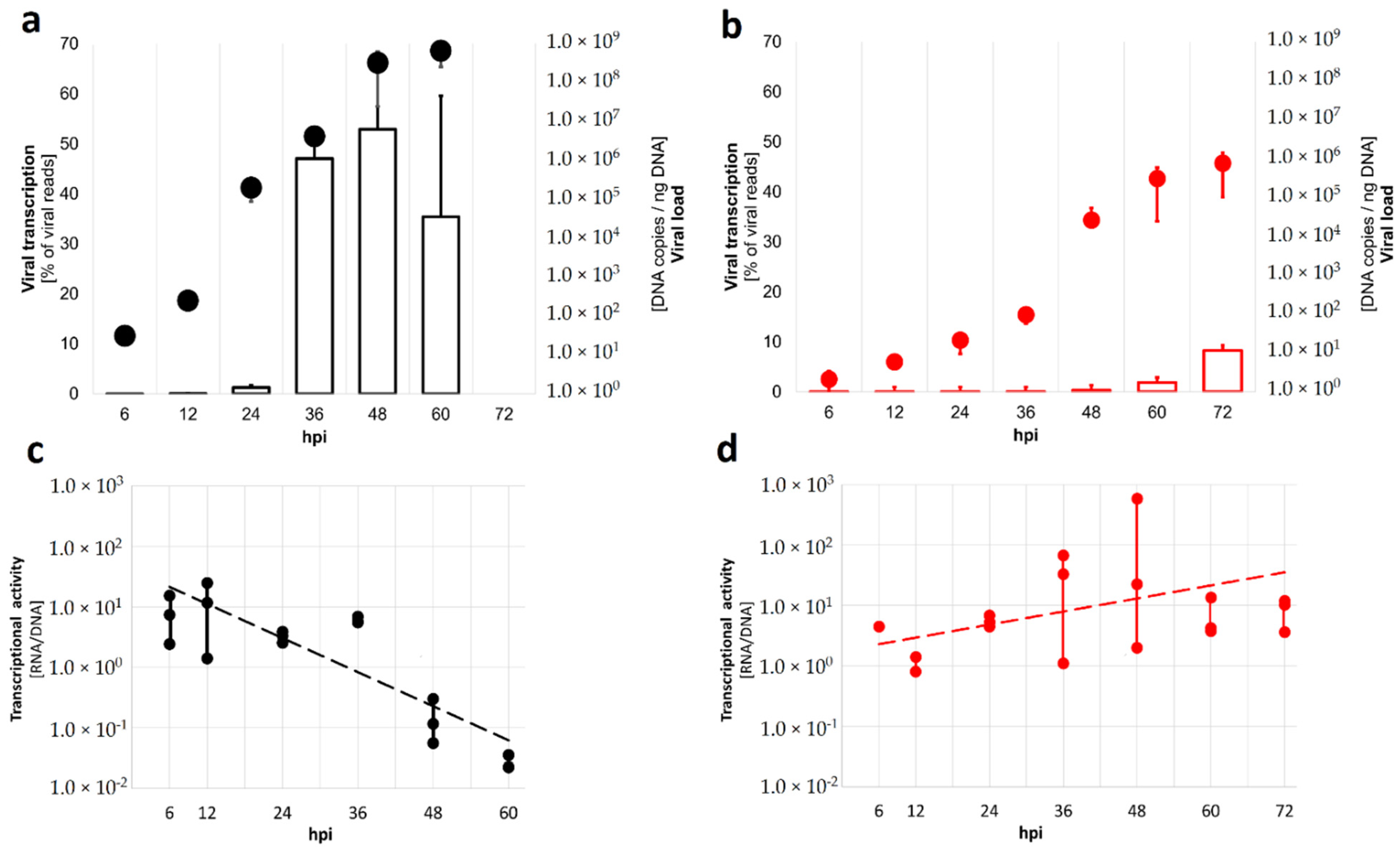 Viruses 13 01971 g001