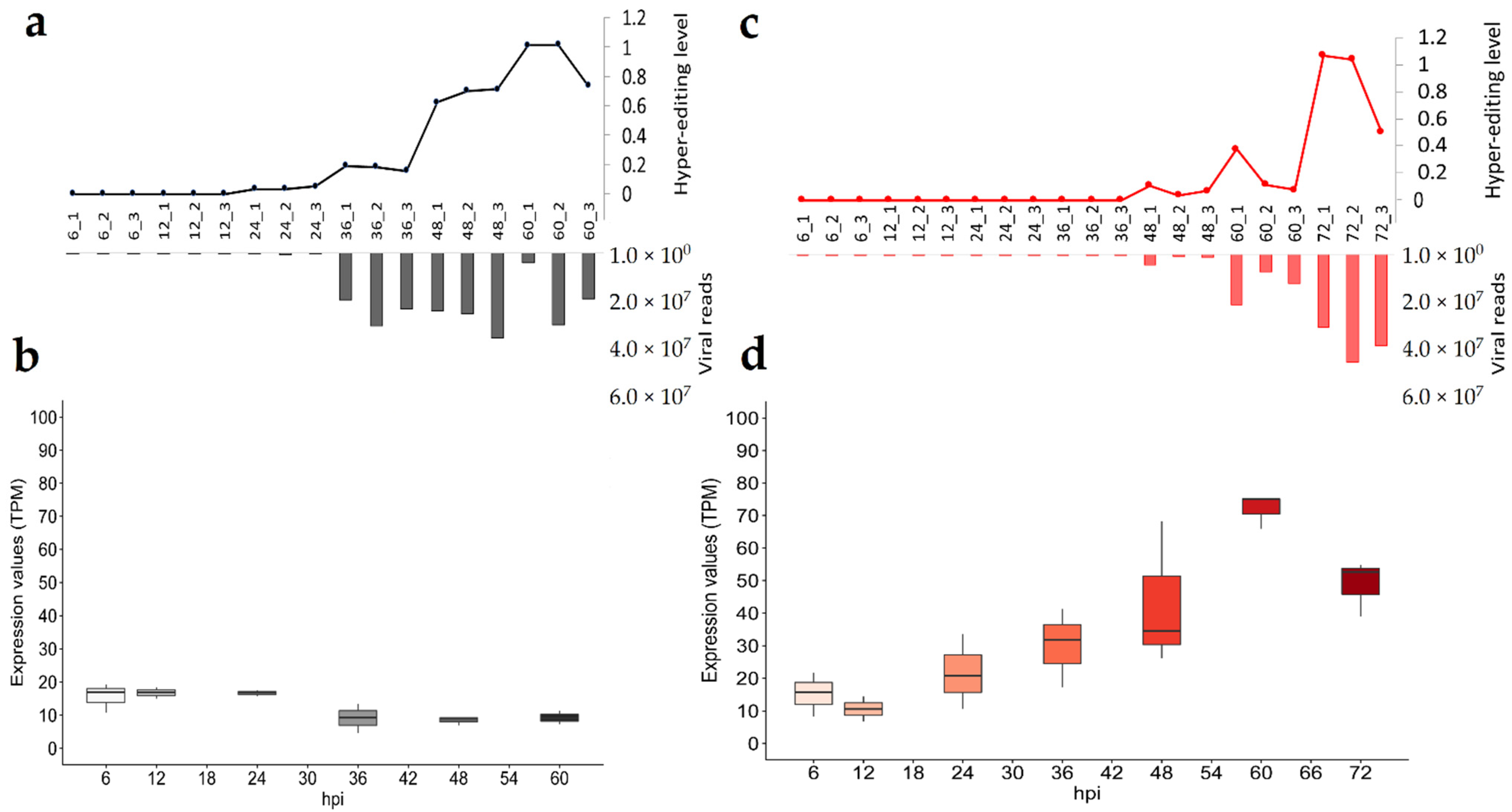 Viruses 13 01971 g004
