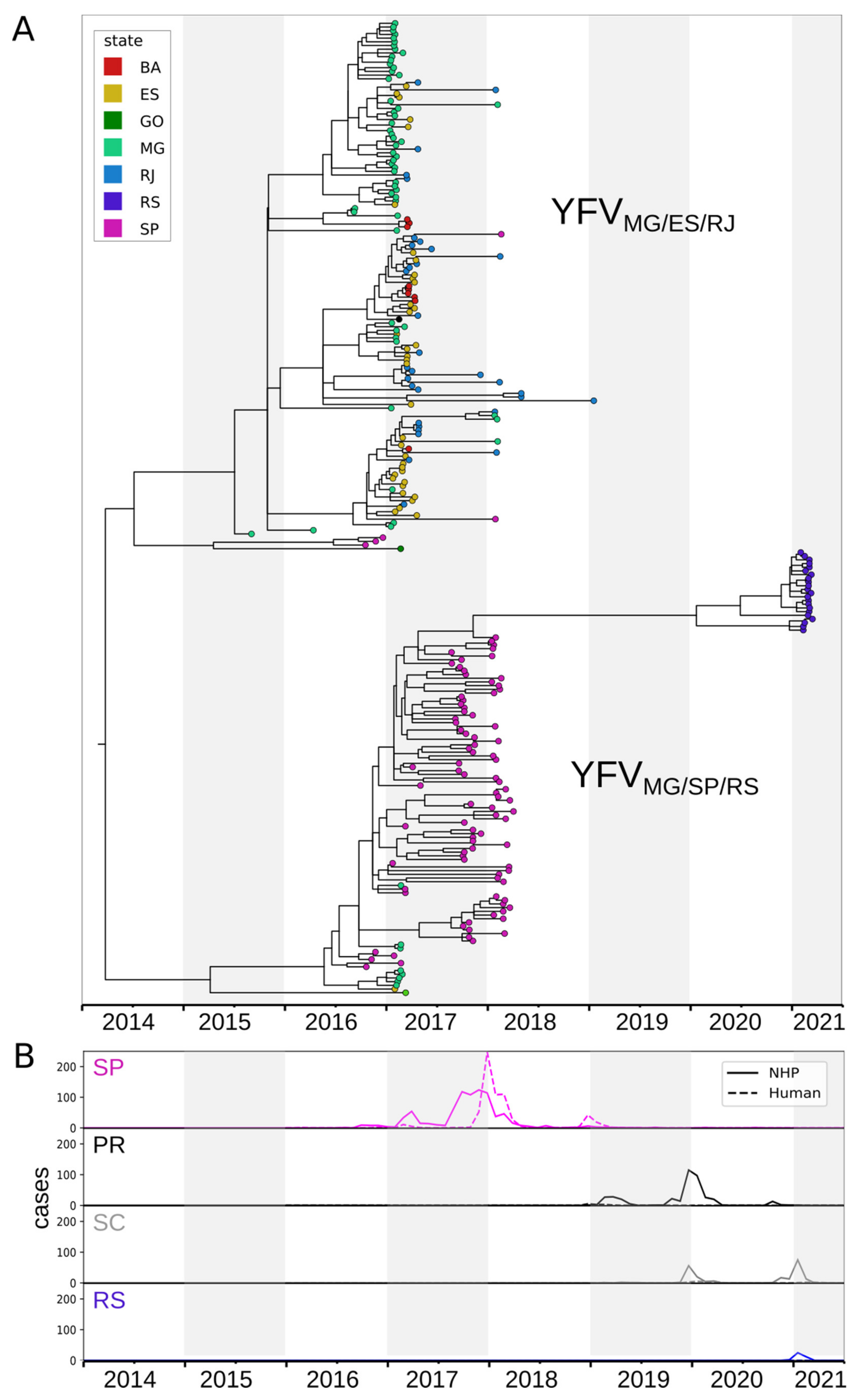 Viruses 13 01976 g003