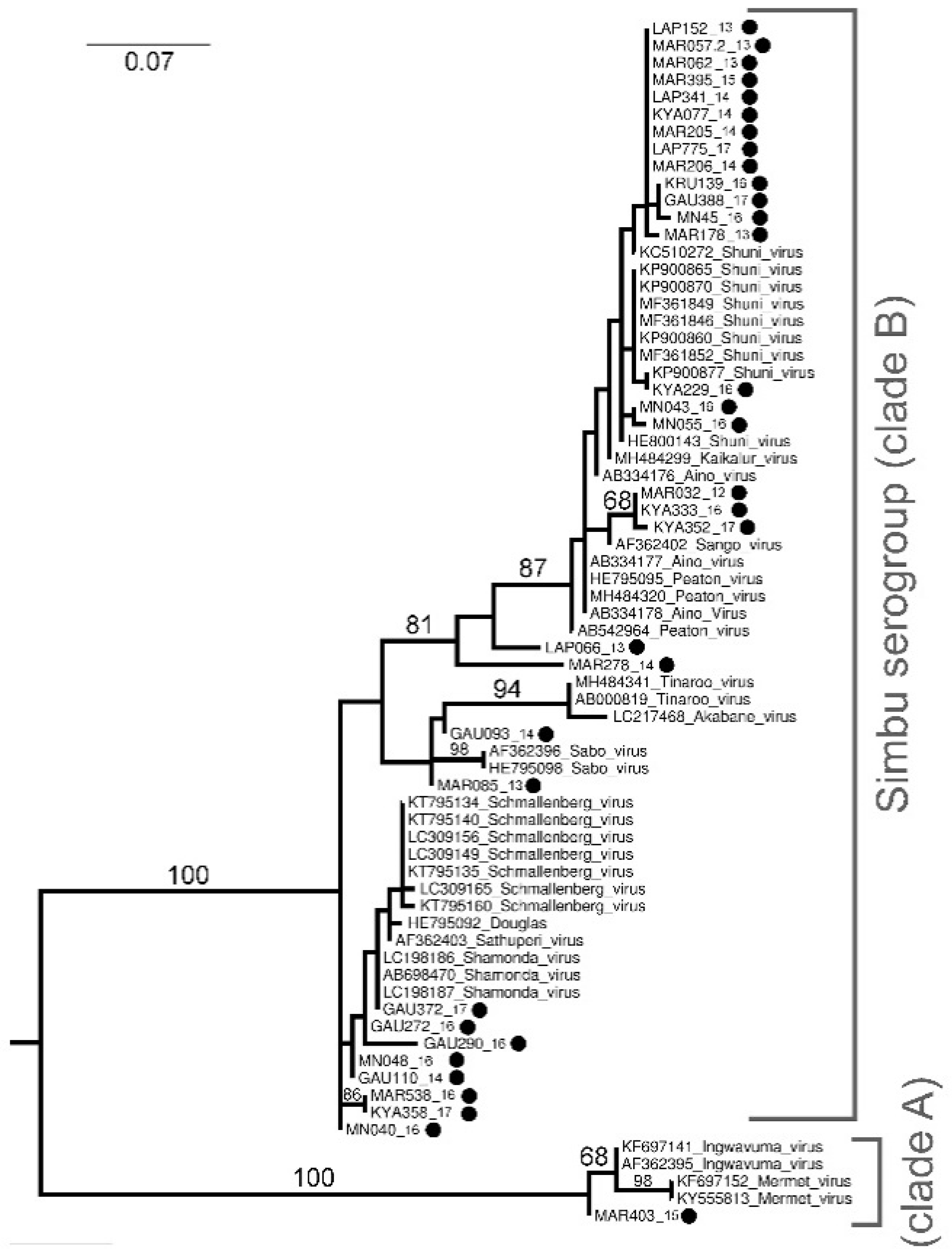 Viruses 13 01978 g001