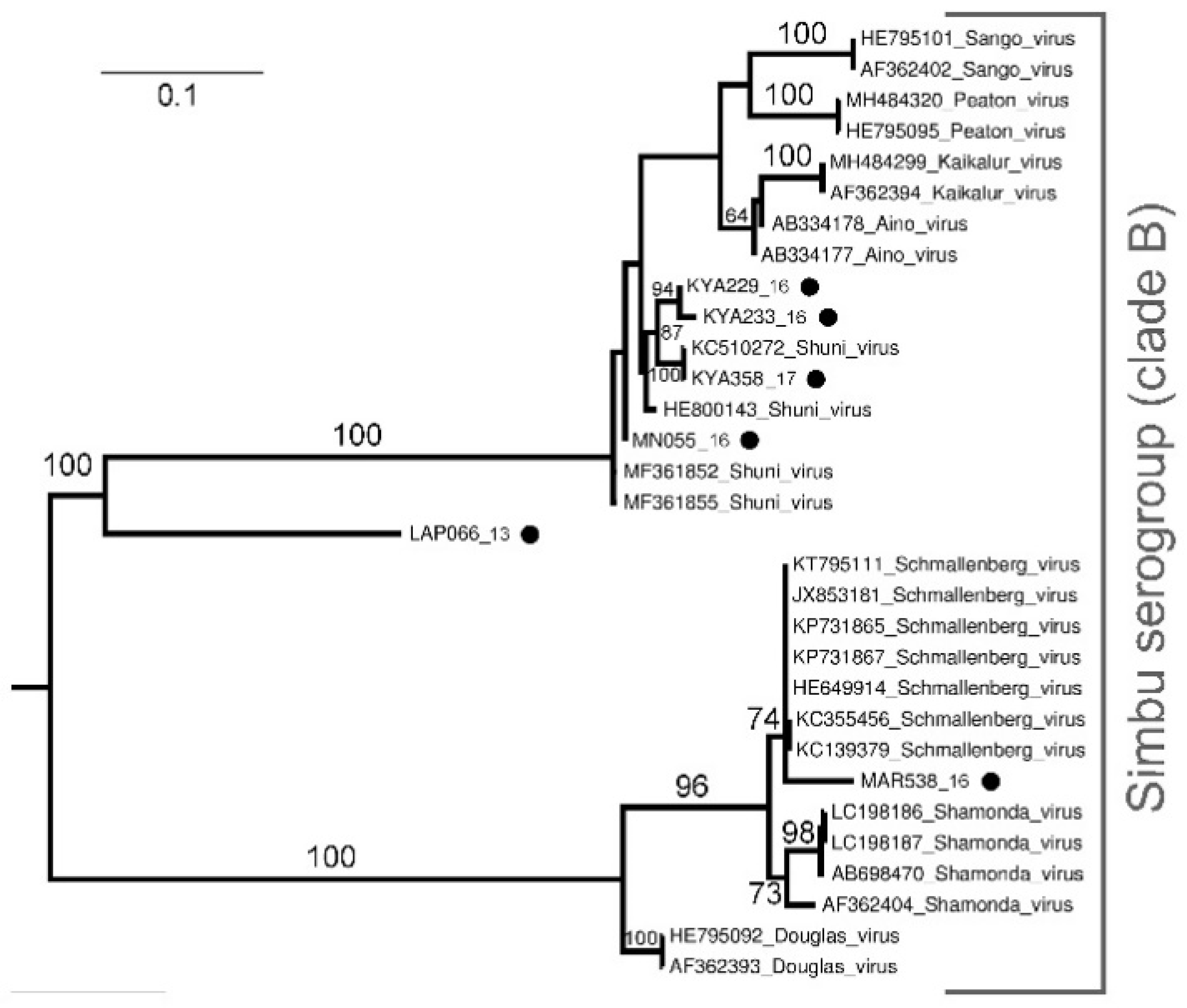 Viruses 13 01978 g002