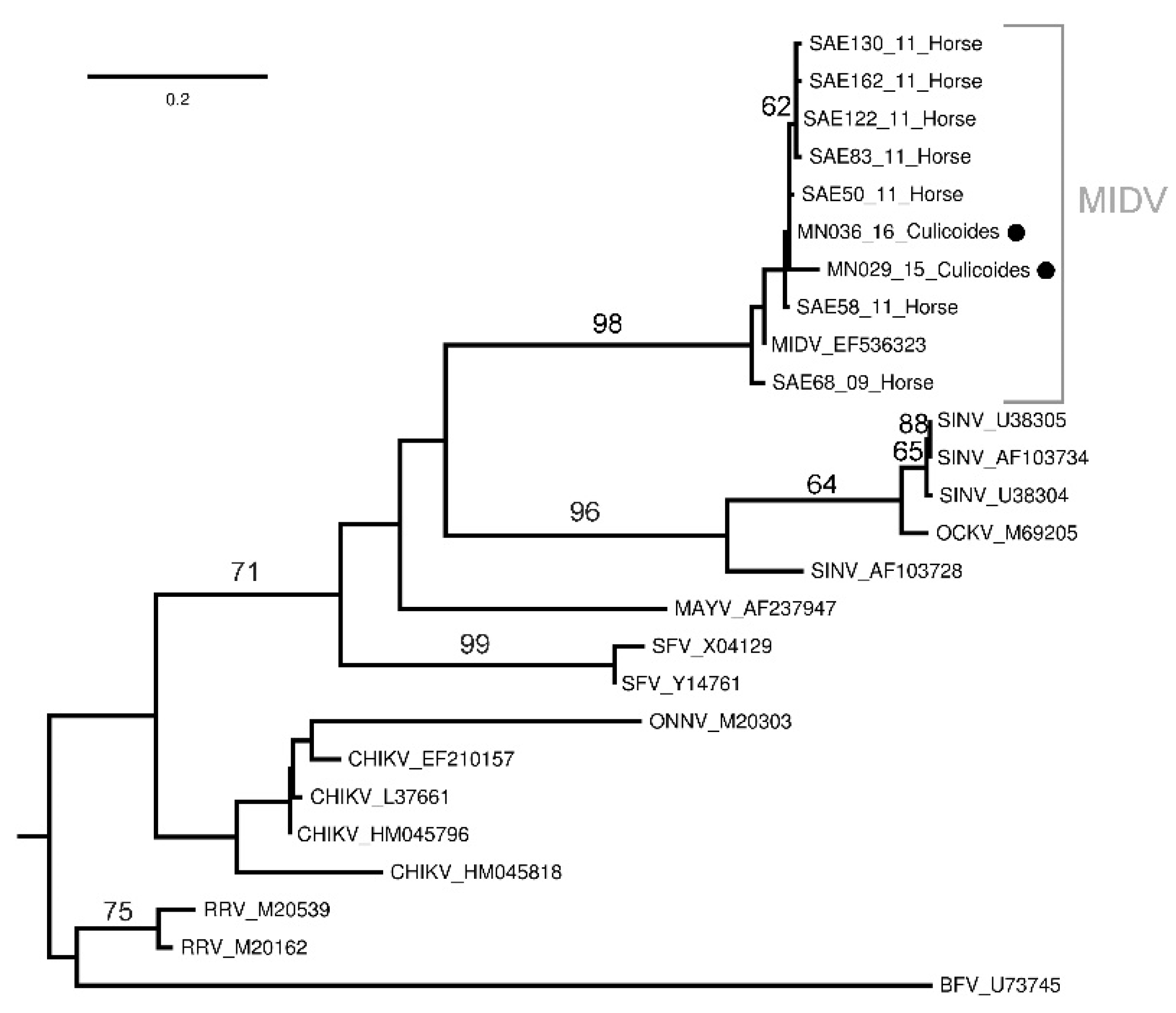 Viruses 13 01978 g003