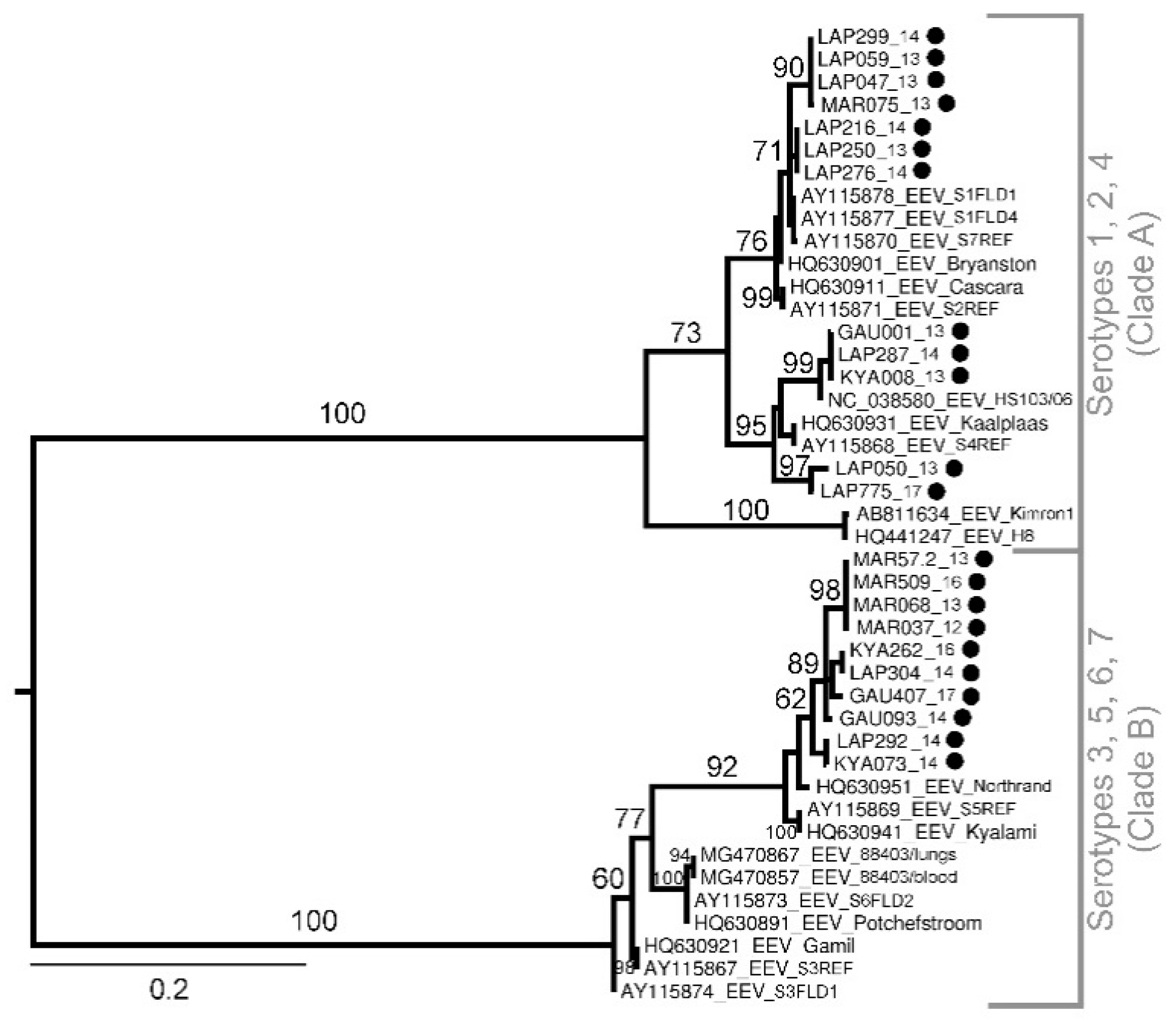 Viruses 13 01978 g004