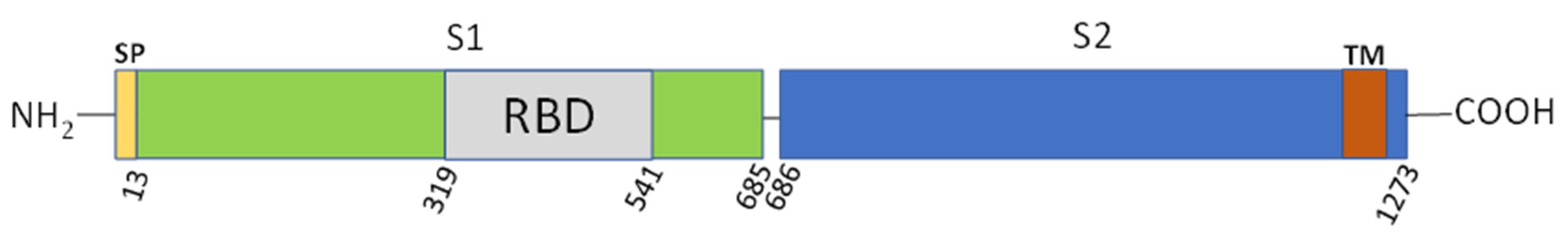 Viruses 13 01983 g001