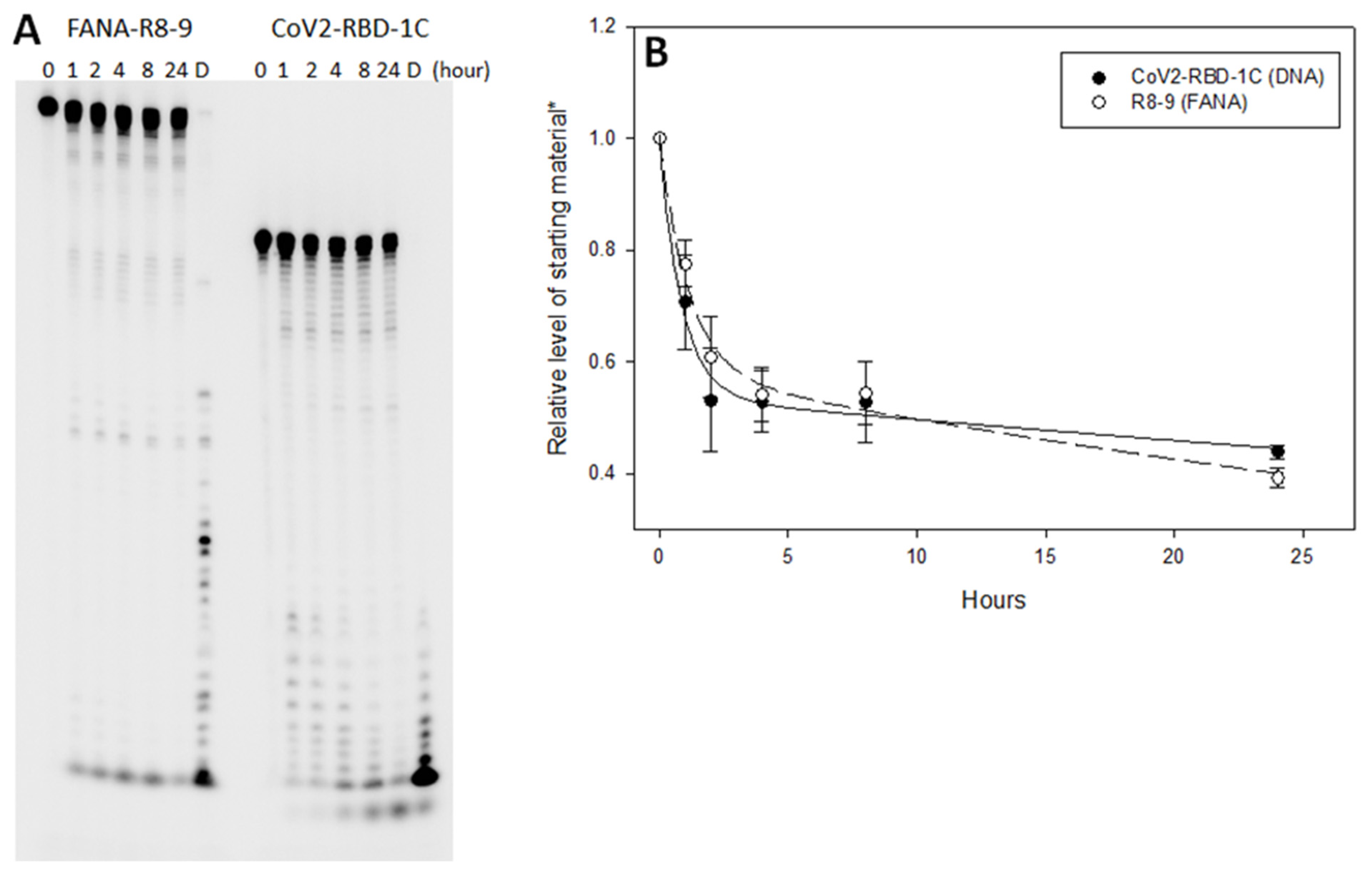 Viruses 13 01983 g006