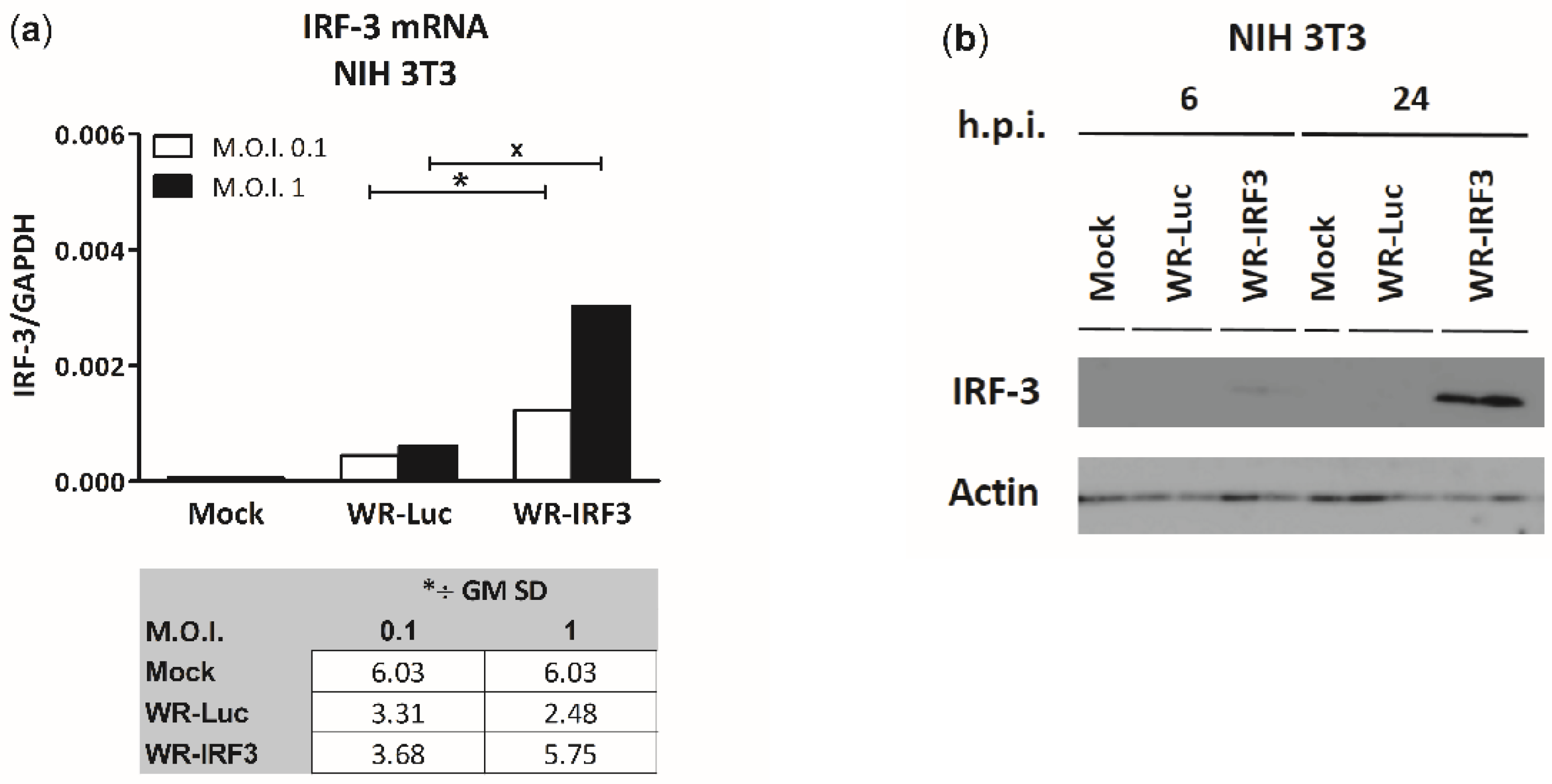 Viruses 13 01986 g001
