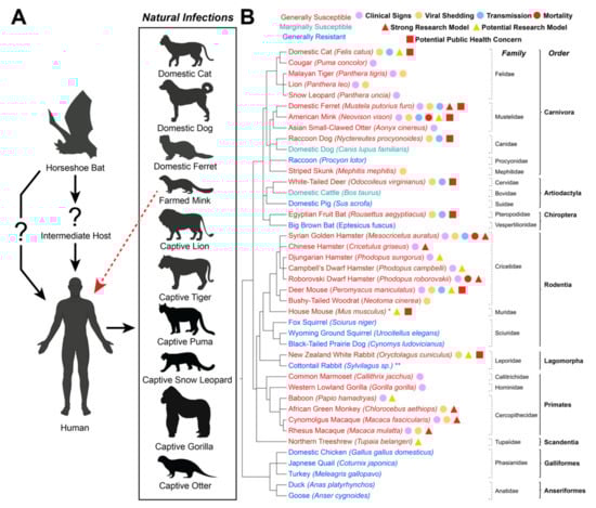 Viruses 13 01993 g001 550