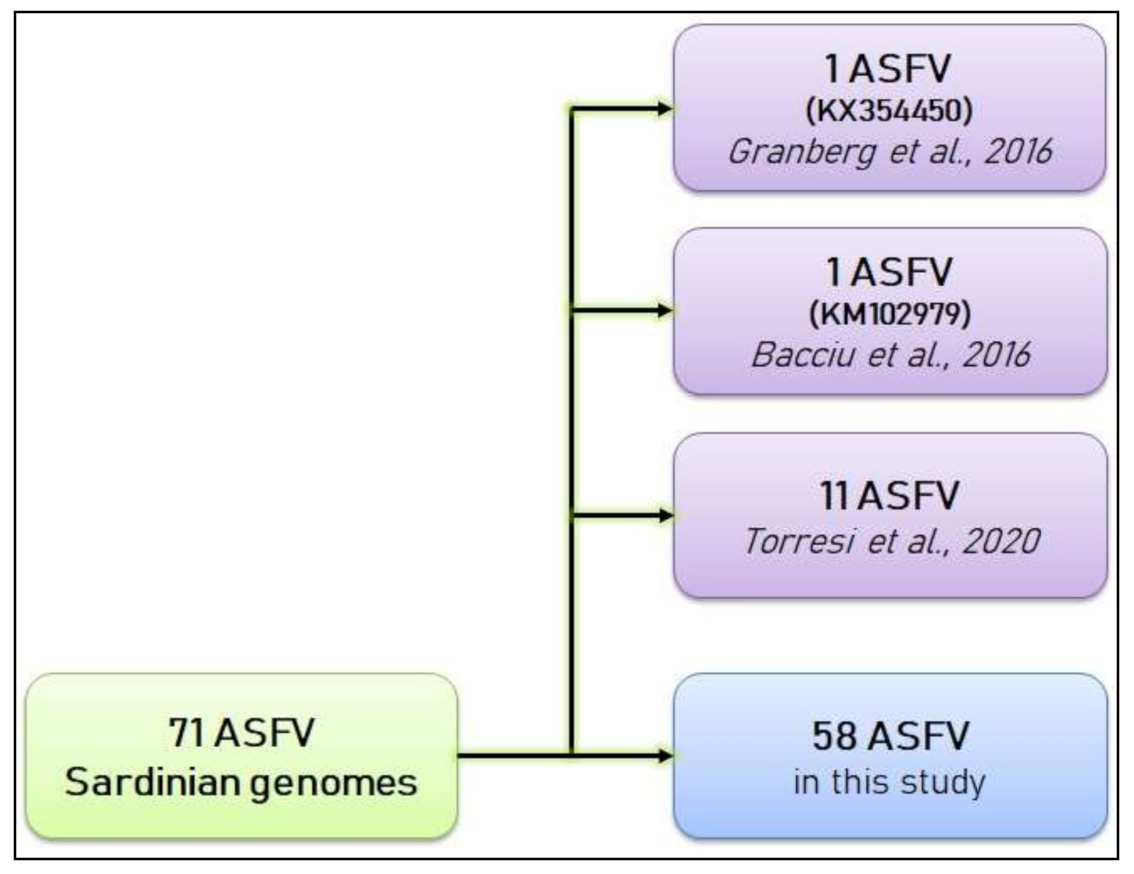 Viruses 13 01994 g003