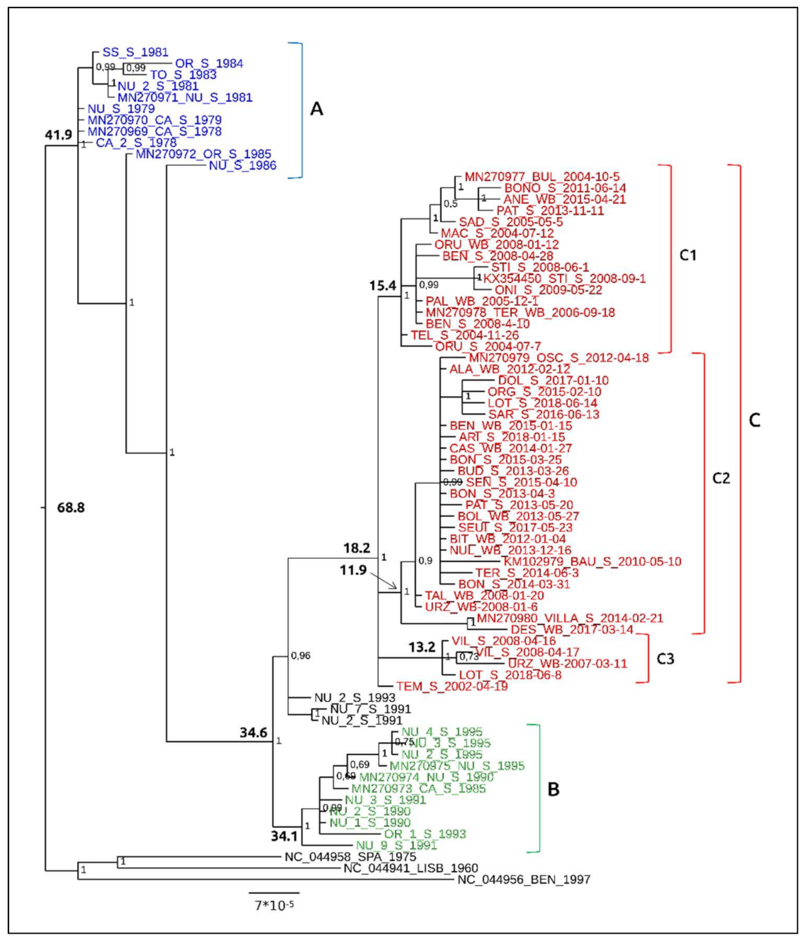 Viruses 13 01994 g005