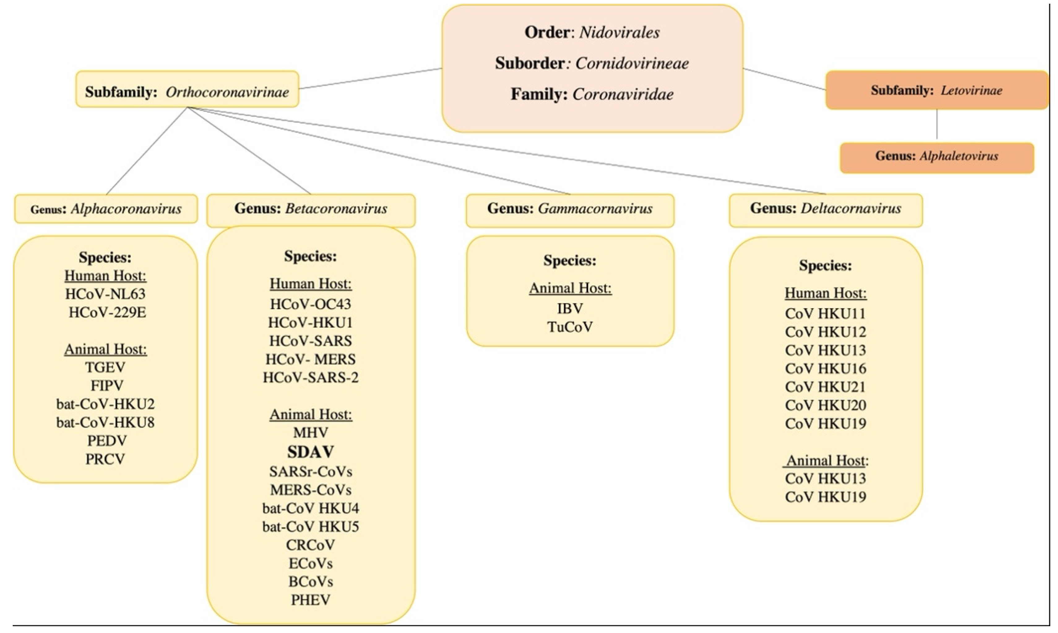 Viruses 13 01995 g001