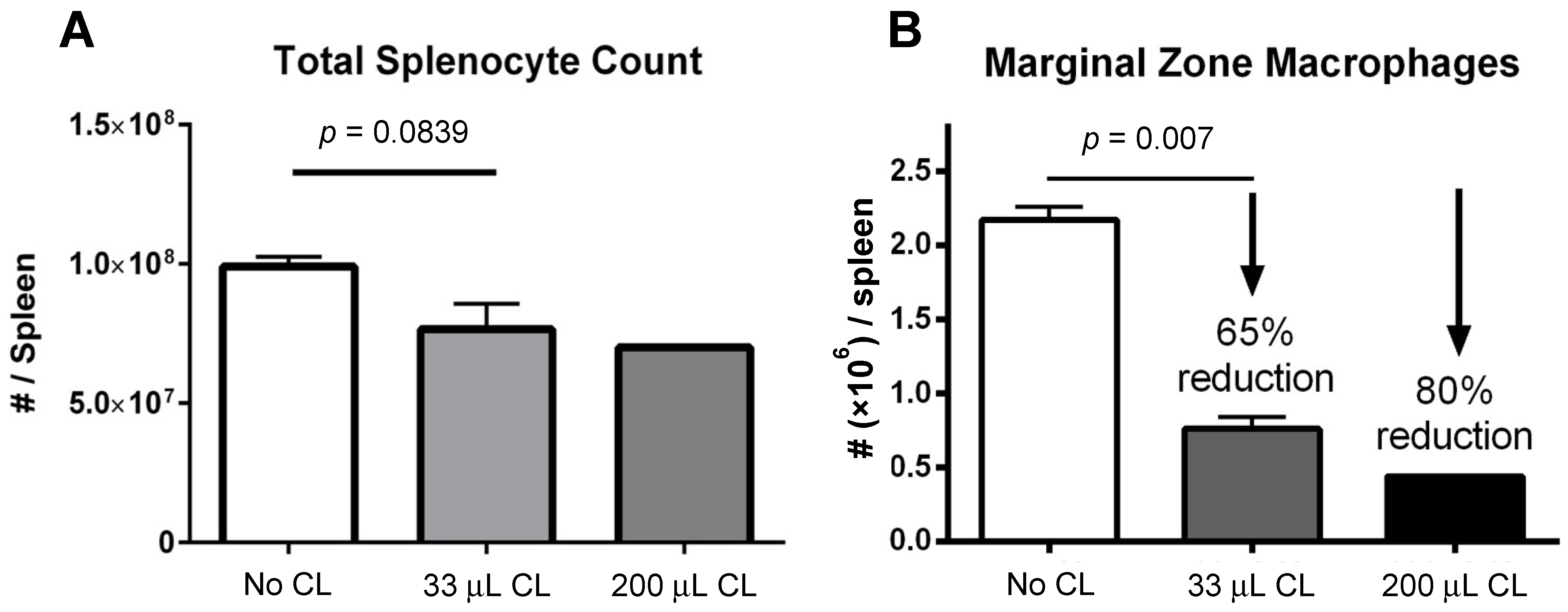 Viruses 13 02002 g001