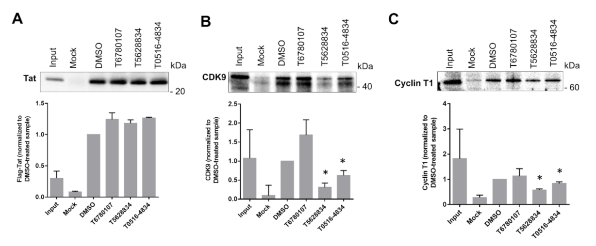 Viruses 13 02004 g005 Viruses 13 02004 g005