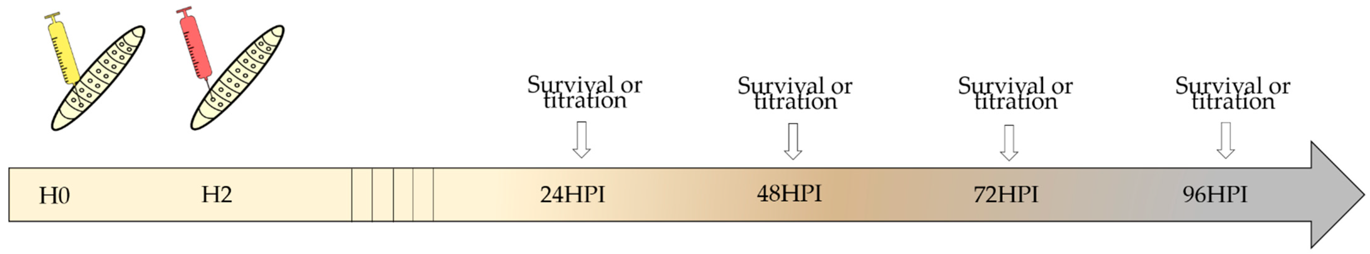Viruses 13 02005 g001