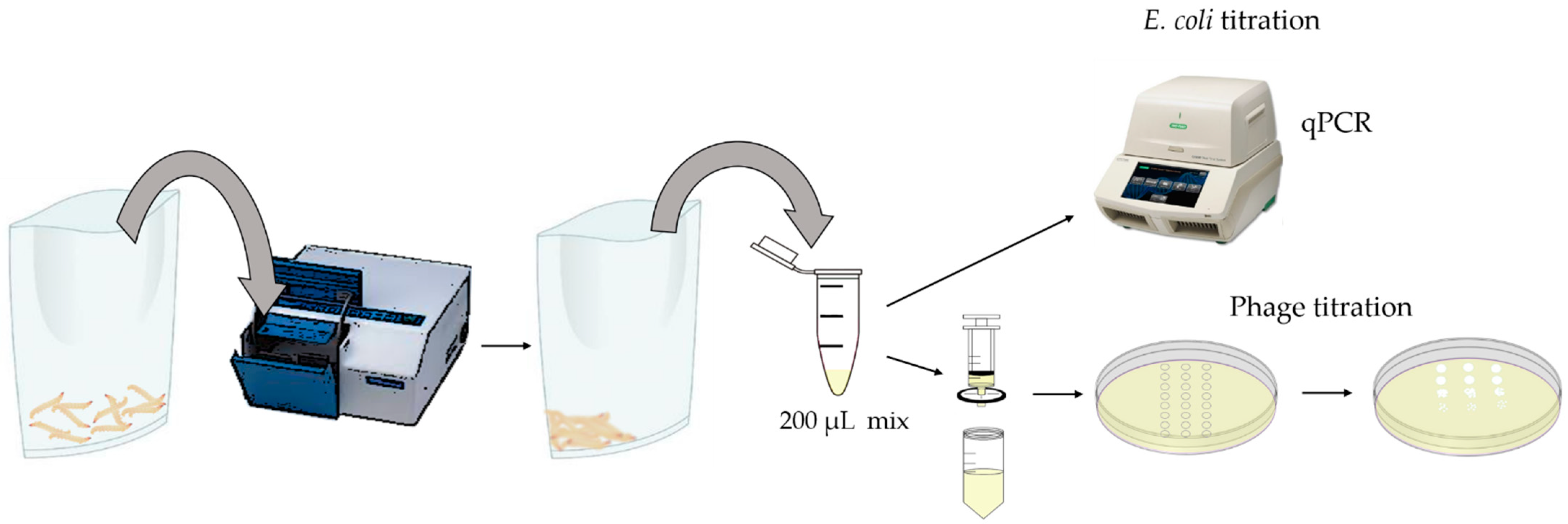 Viruses 13 02005 g002