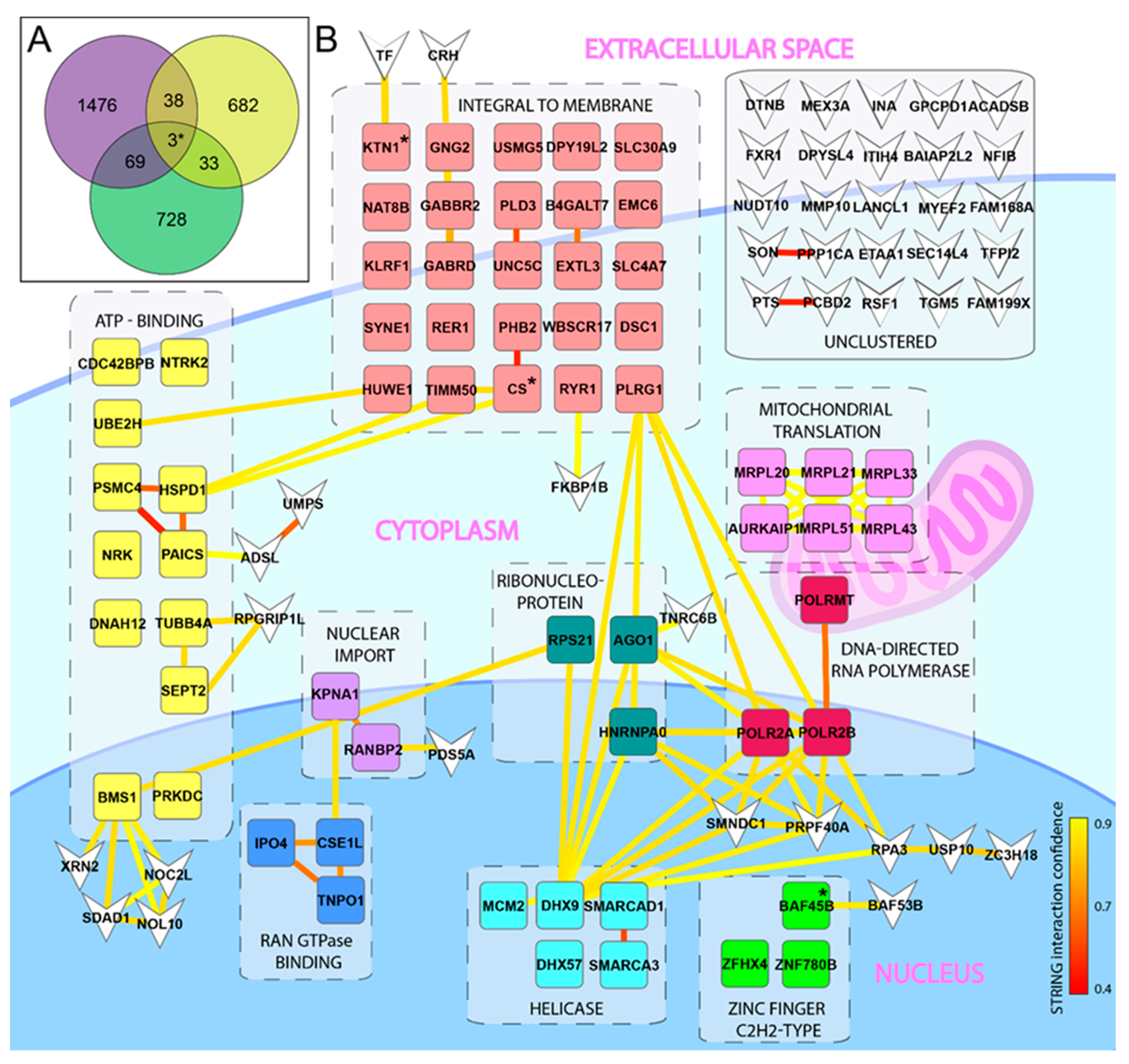 Viruses 13 02007 g001