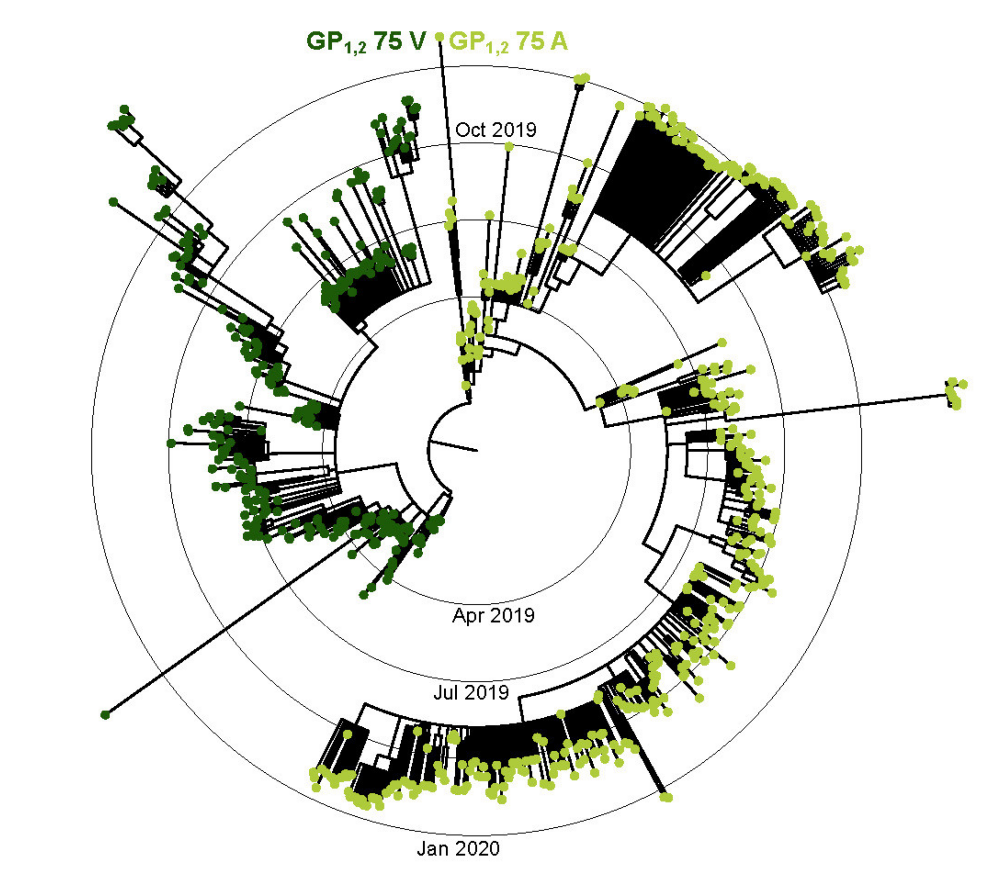 Viruses 13 02010 g002