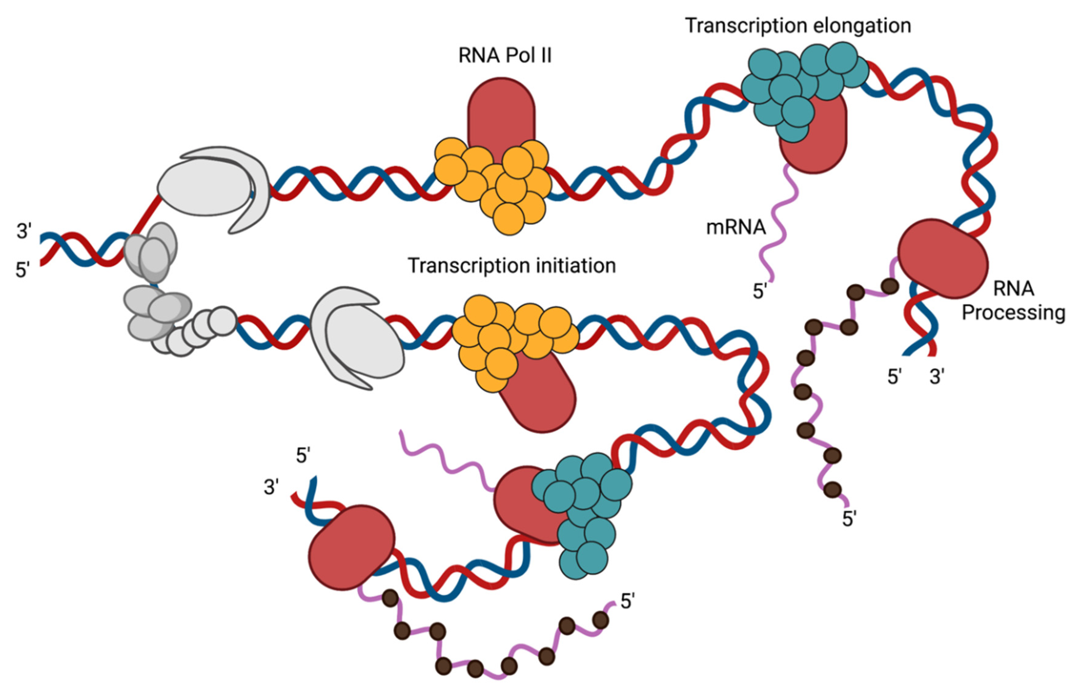 Viruses 13 02015 g005
